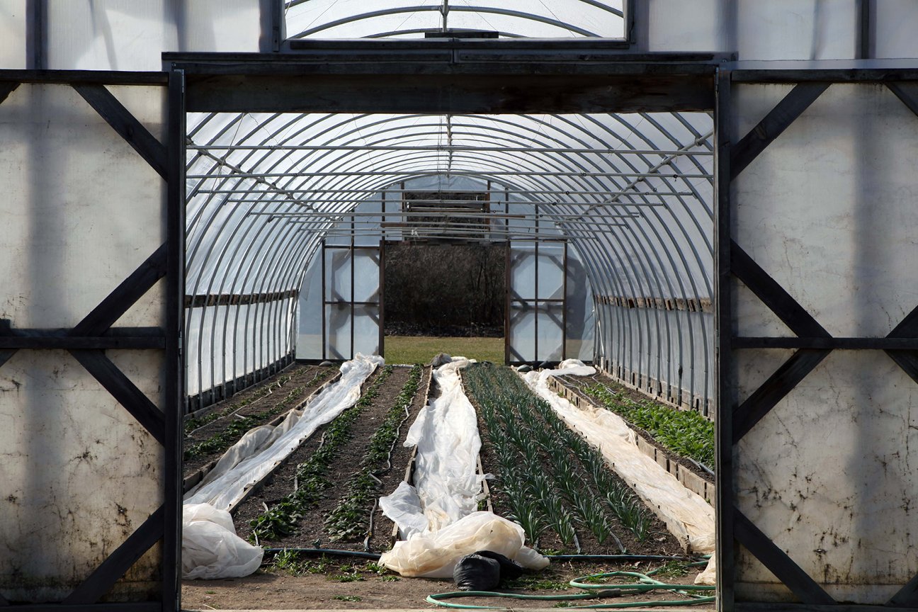 Shelburne Farms: House, Gardens, Farm, and Barns, greenhouse interior.