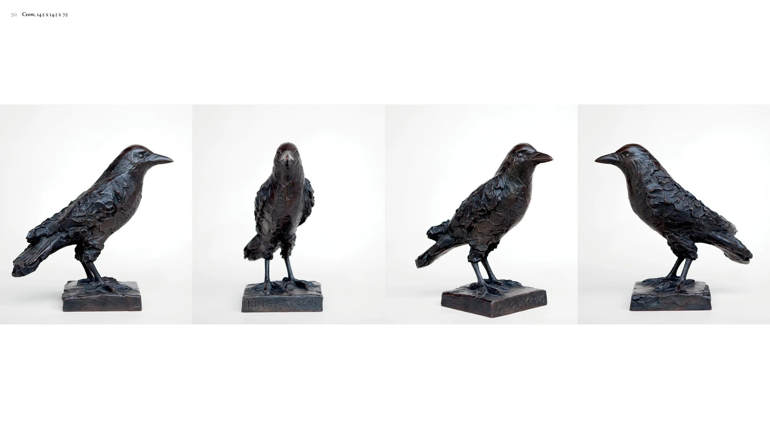 Peter France, book: crows.