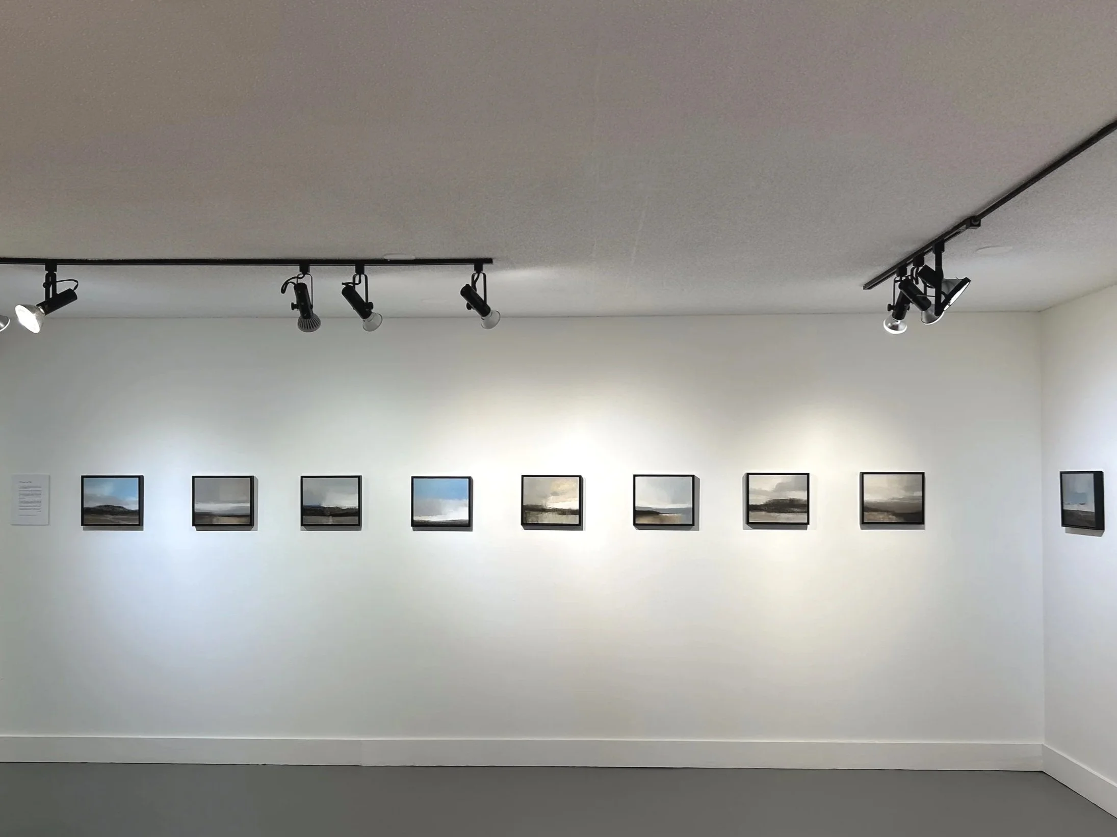 Gallery exhibition of several landscape paintings on a white wall.