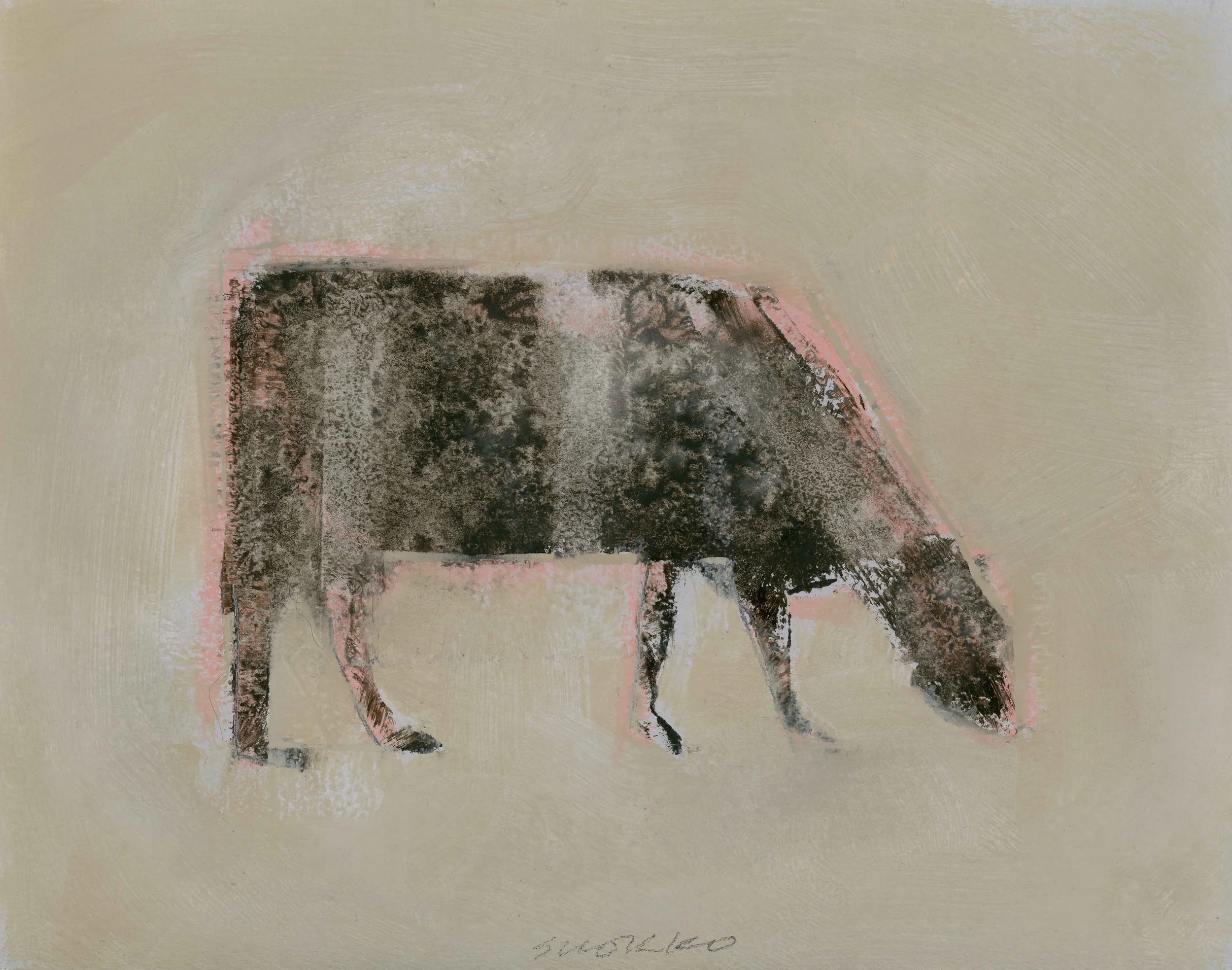 Grazing black cow, outlined in pink, oil on paper.