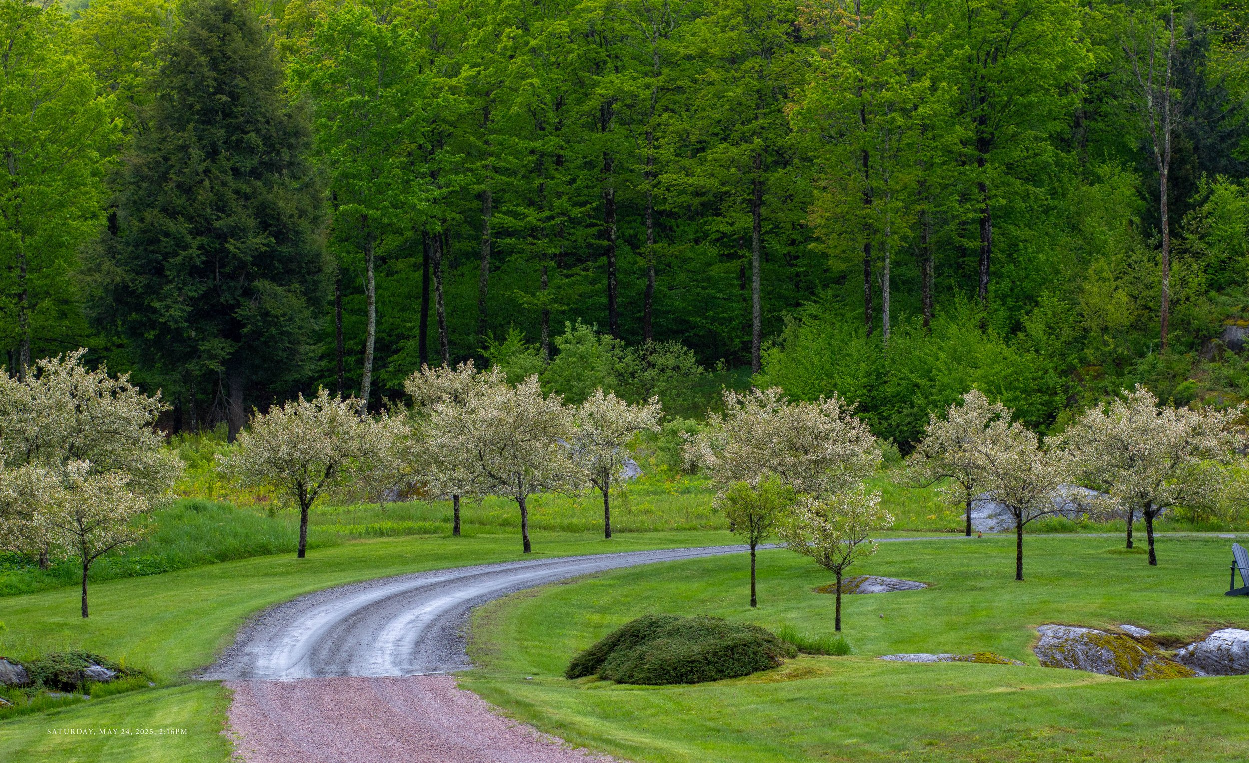 Pages from a book design by Glenn Suokko showing the gardens and forest at a private estate.