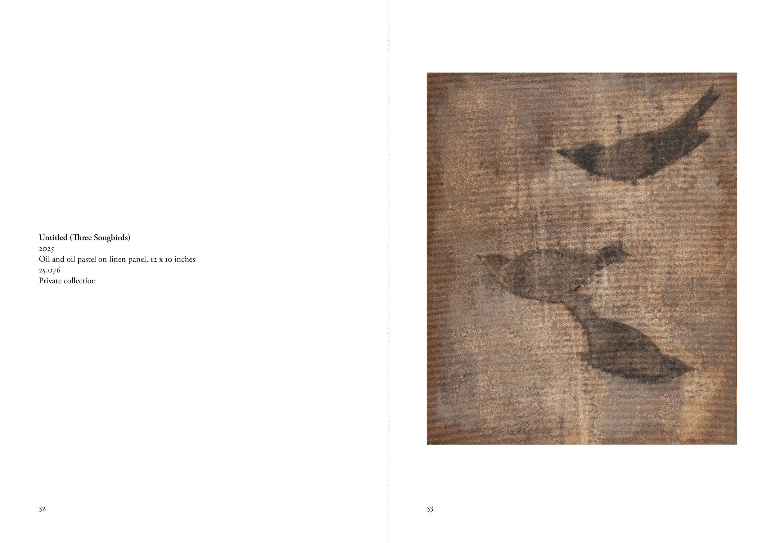 Pages from "Birds", Glenn Suokko Books.