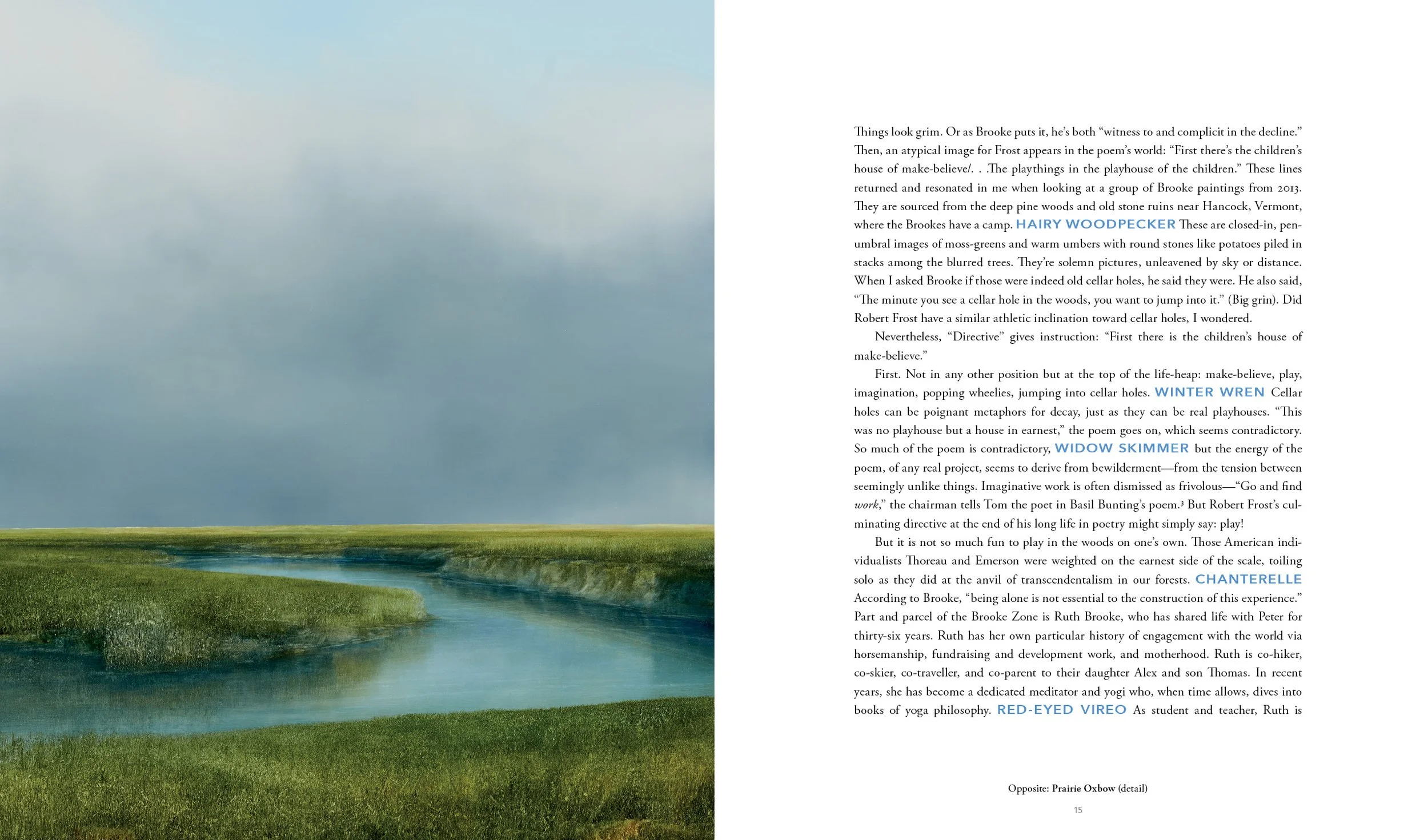 Peter Brooke: The Nature of Memory and Experience, book: essay.