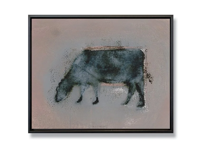 Angus: Grazing Cow XII