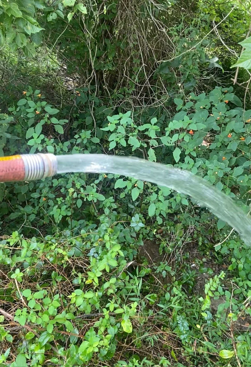 water.jpg