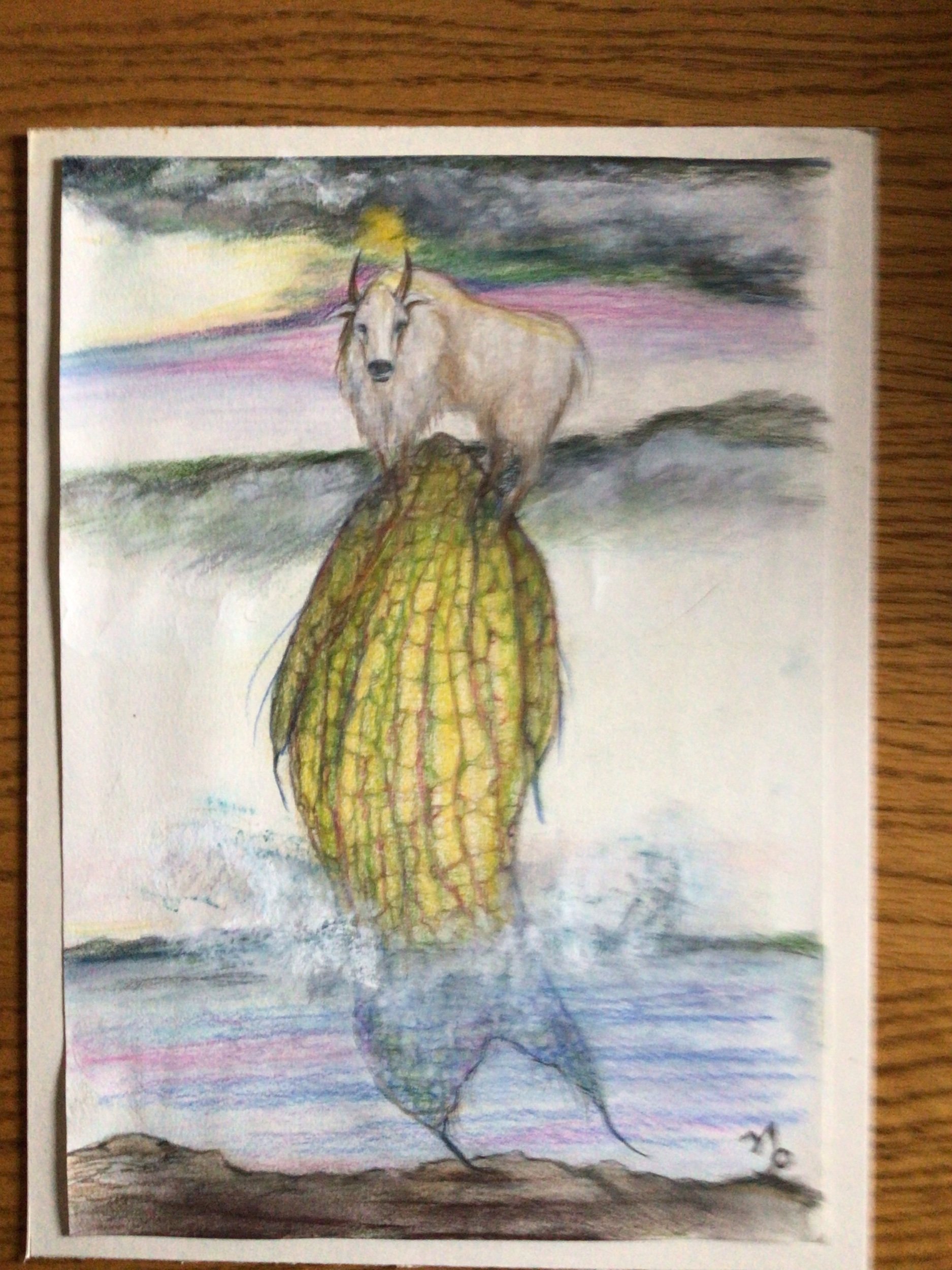 CAPICORN