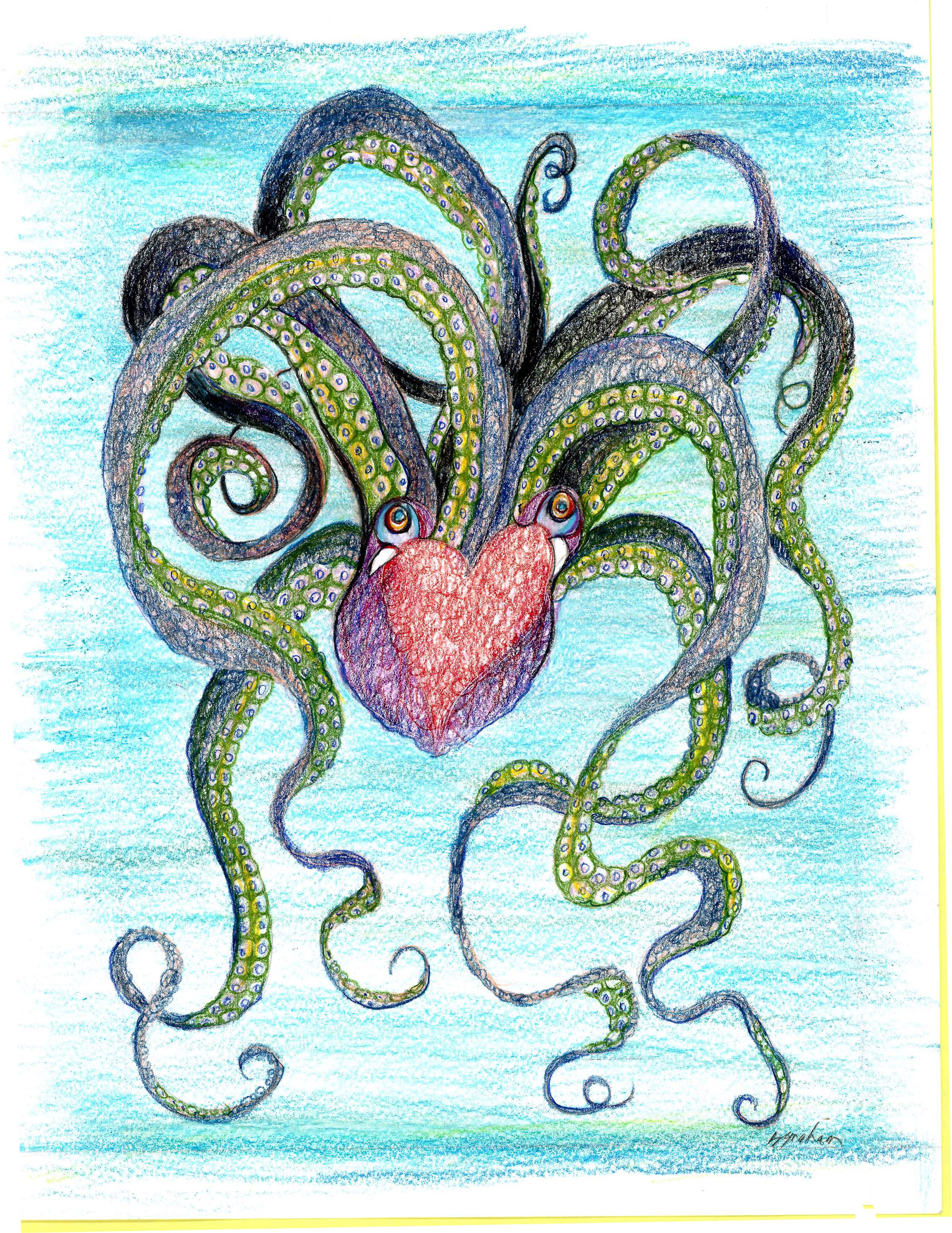 OLIVE OCTOPUS