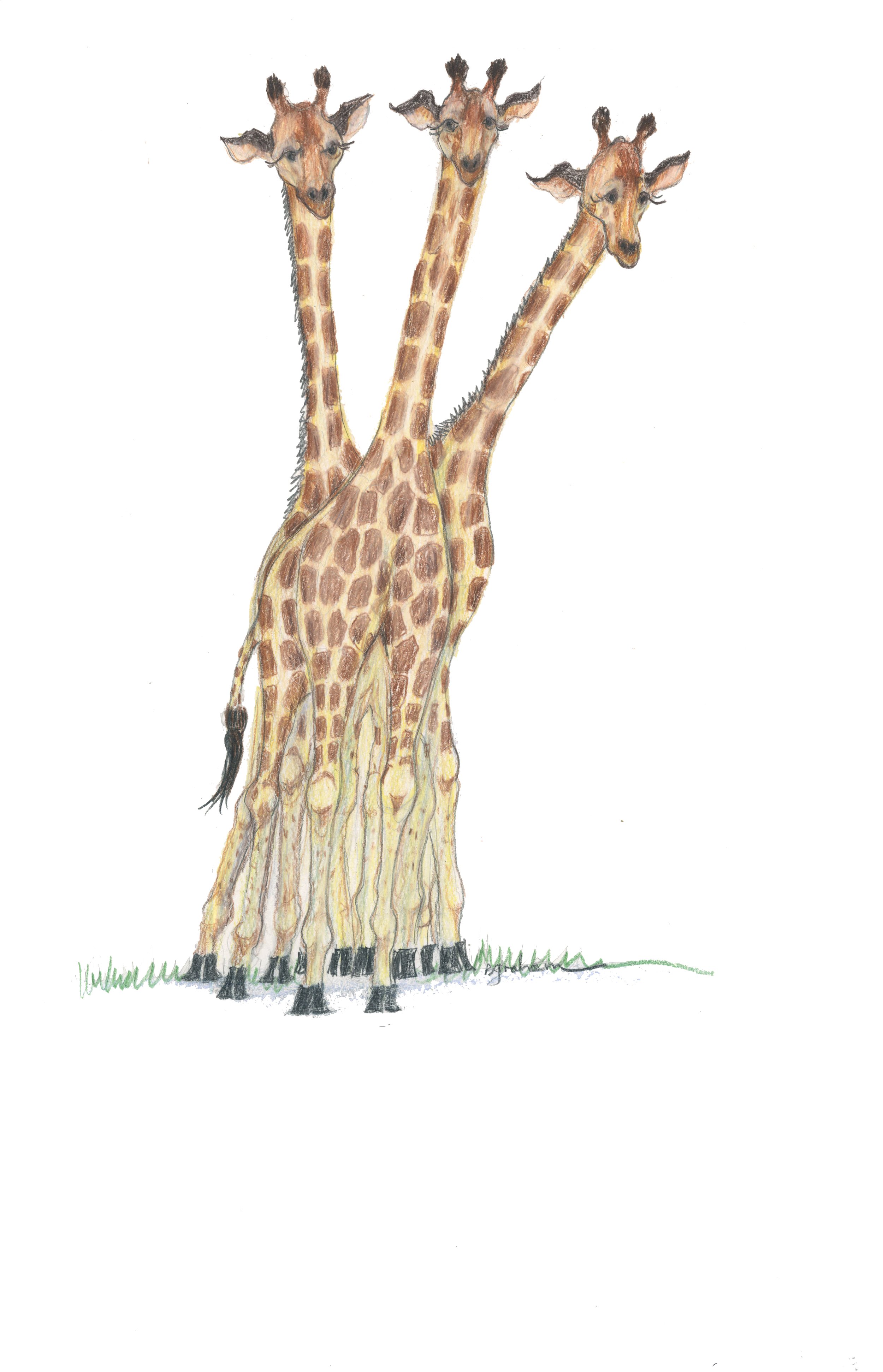 HERE'S LOOKIN' AT YA