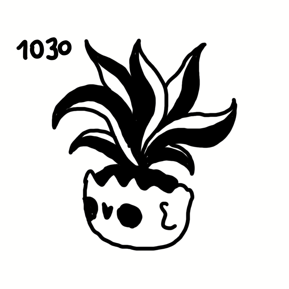 A drawing of a potted plant with large leaves, featuring a pot with skull and letter designs.