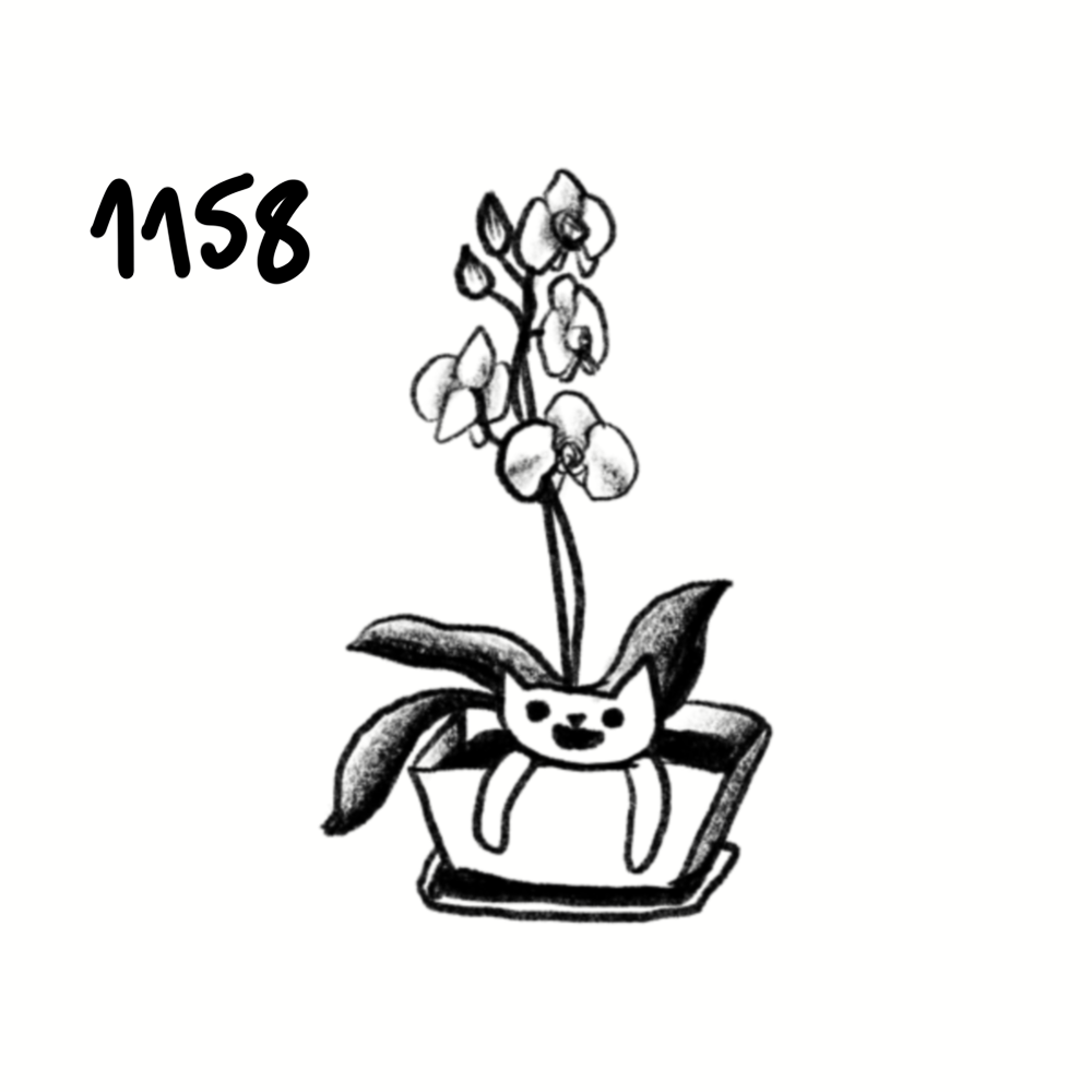 IMG_4818.png