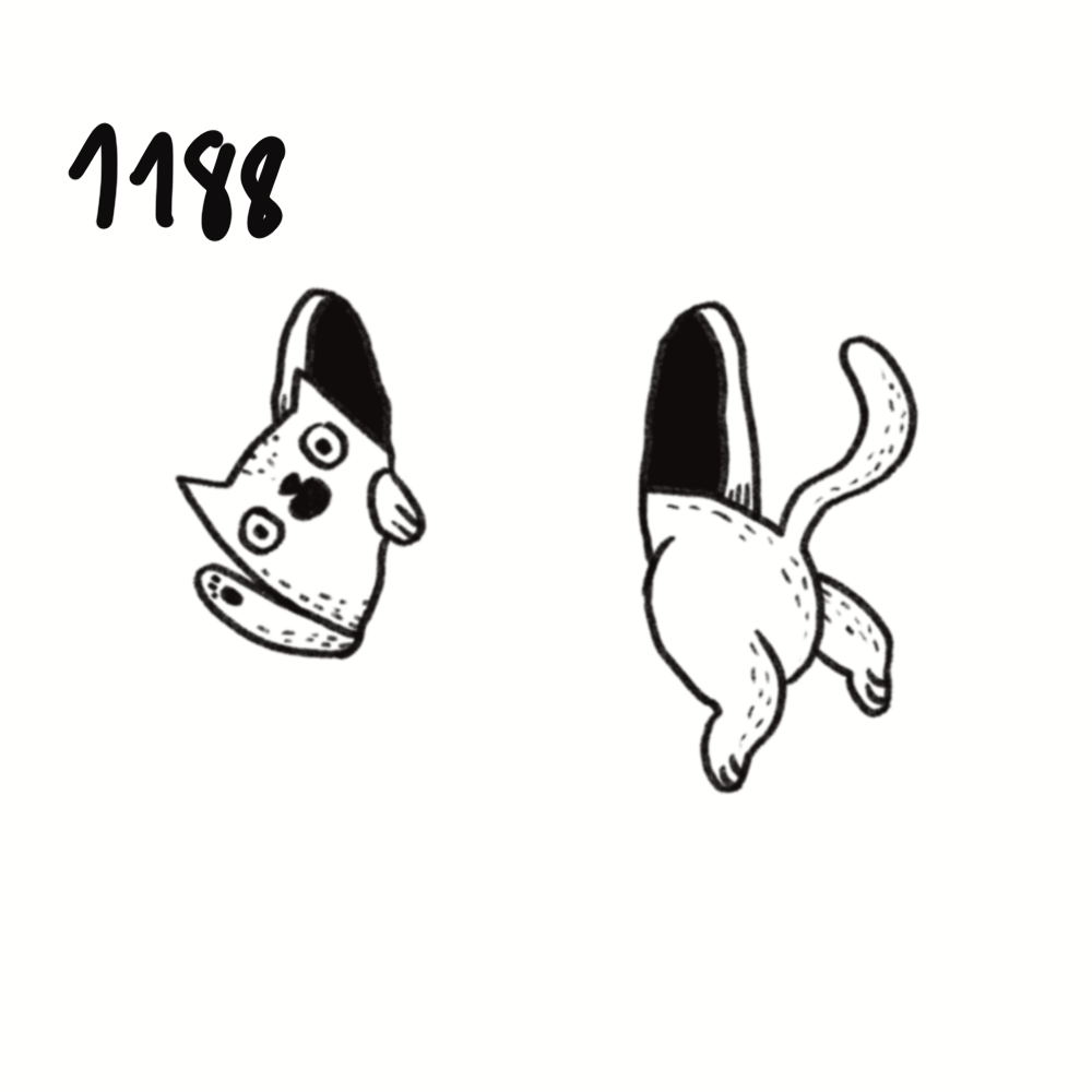 IMG_5109.png