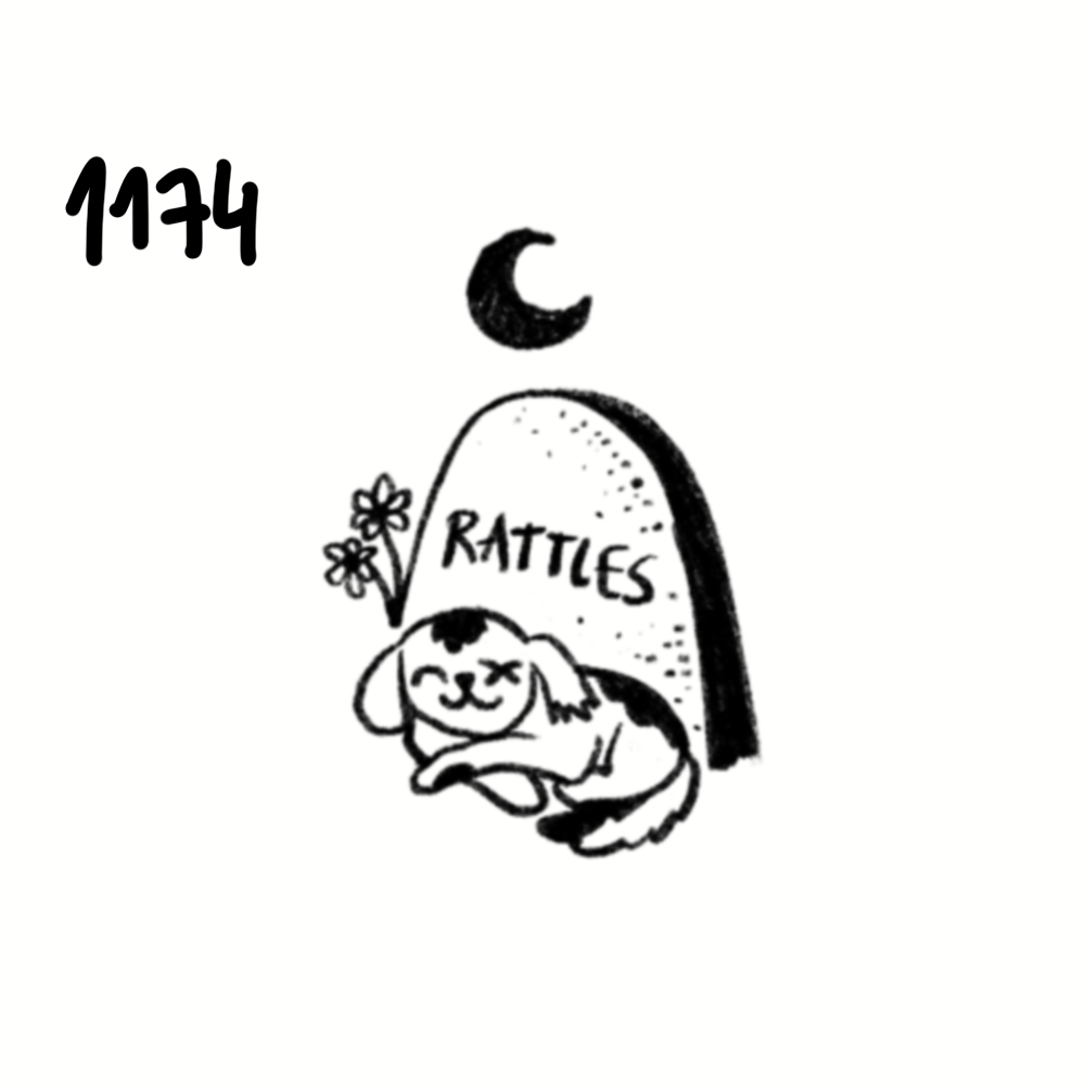 IMG_5066.png