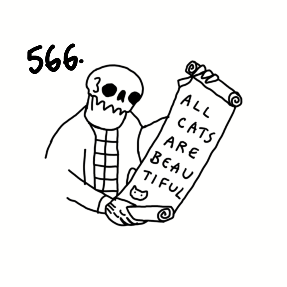 A drawing of a skeleton holding a scroll that reads, 'All cats are beautiful.'