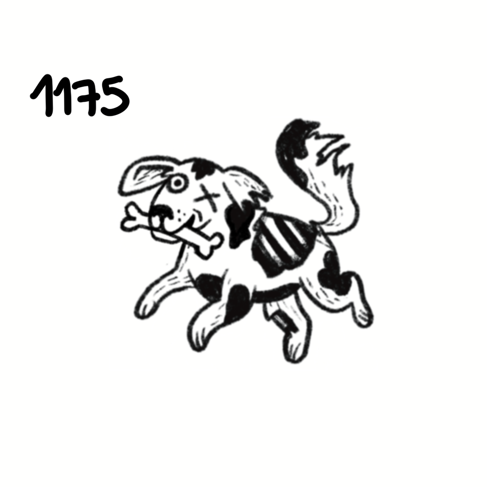 IMG_5067.png