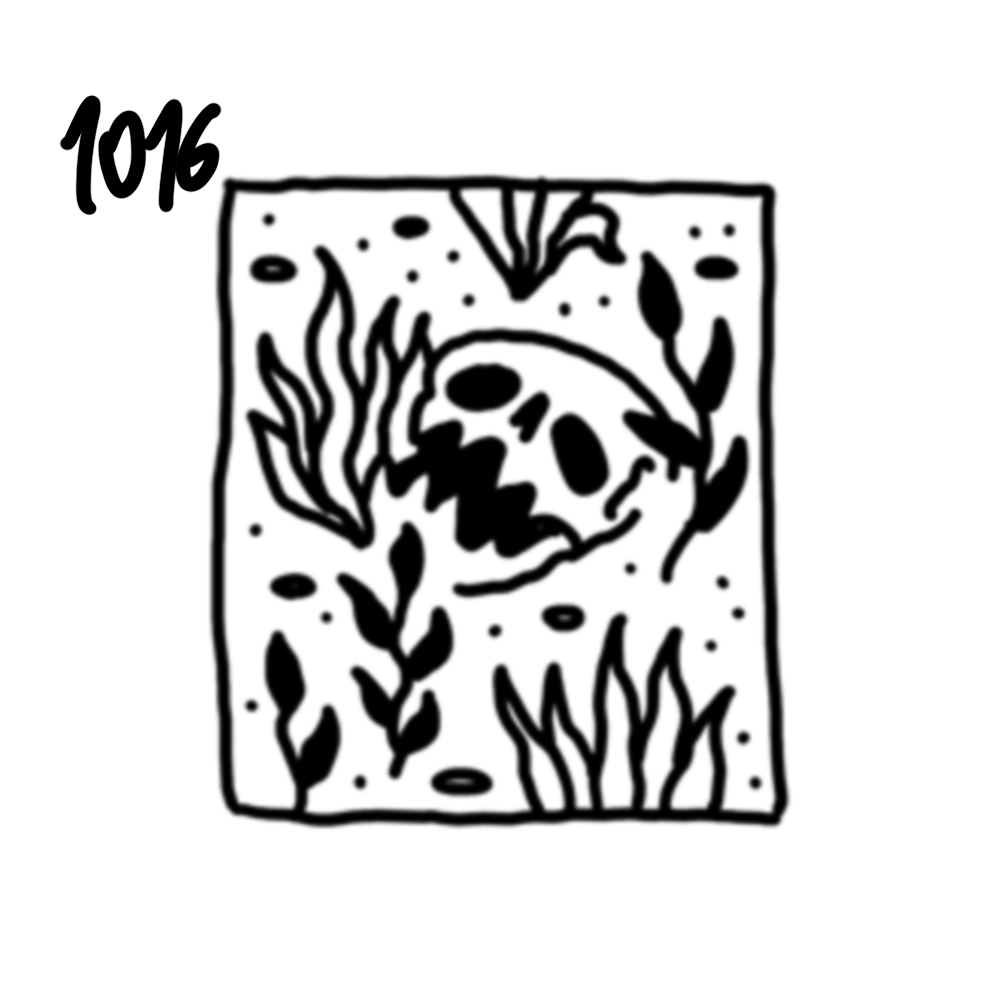 Drawing of a skull on the ground surrounded by plants and leaves.