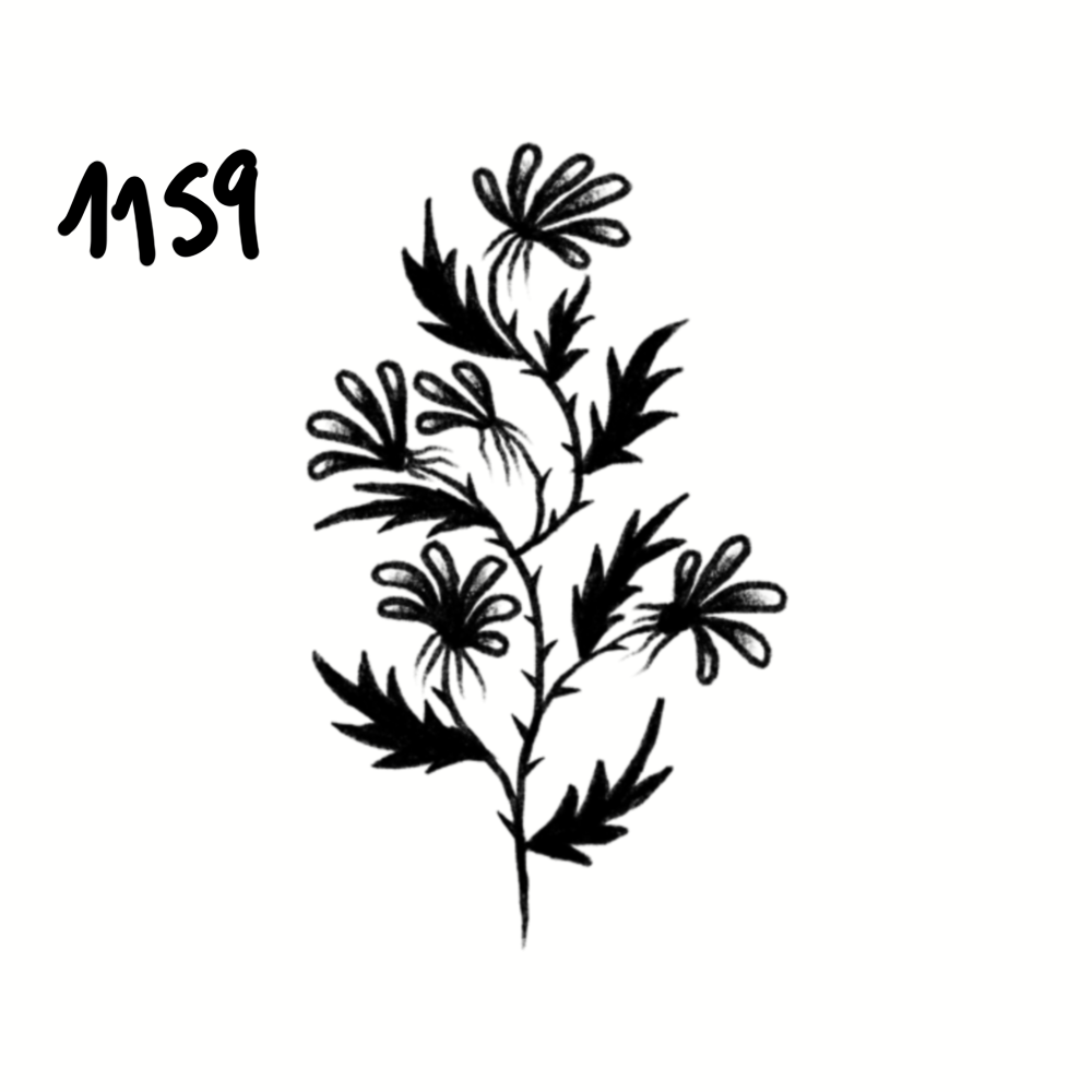 IMG_4819.png