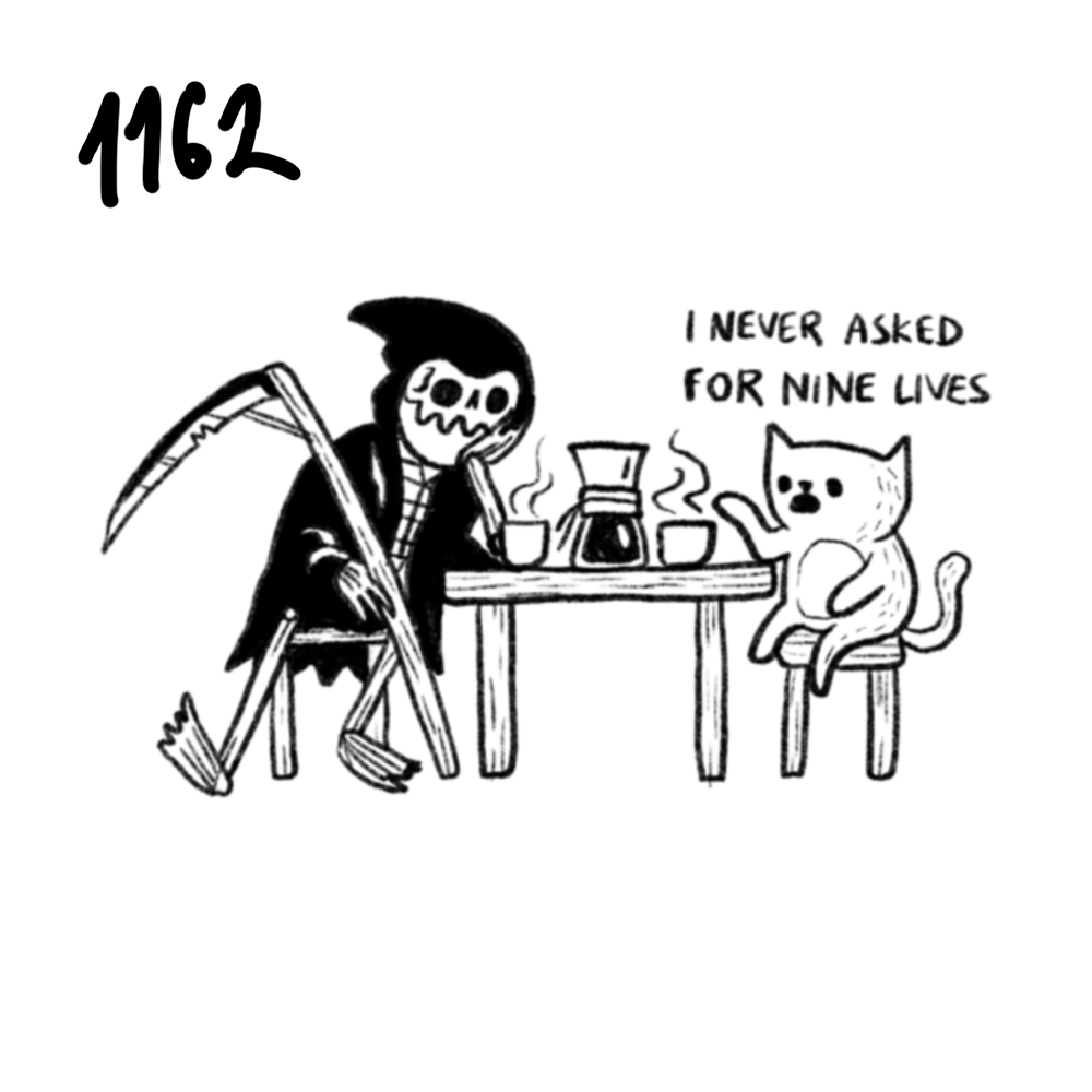 IMG_4920.png