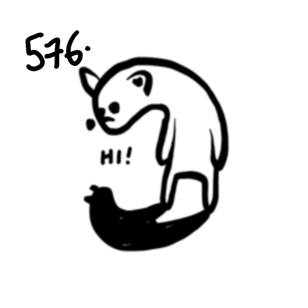 A black and white drawing of a cat with the number 576 written above it, and a small speech bubble saying 'HI!' next to a bird.
