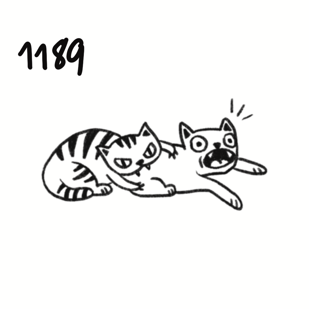 IMG_5108.png