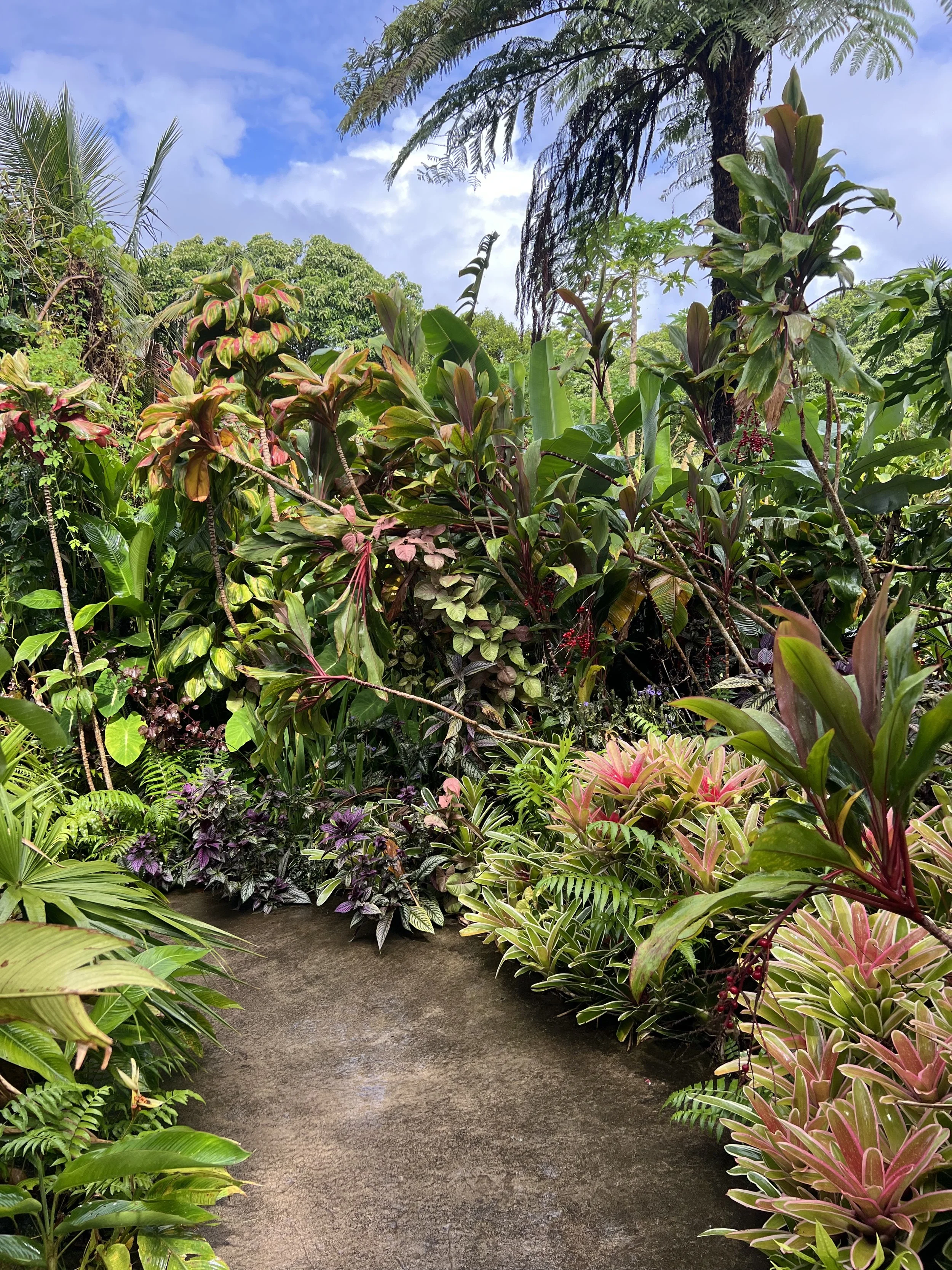 Private coaching intensive and retreat setting on Maui