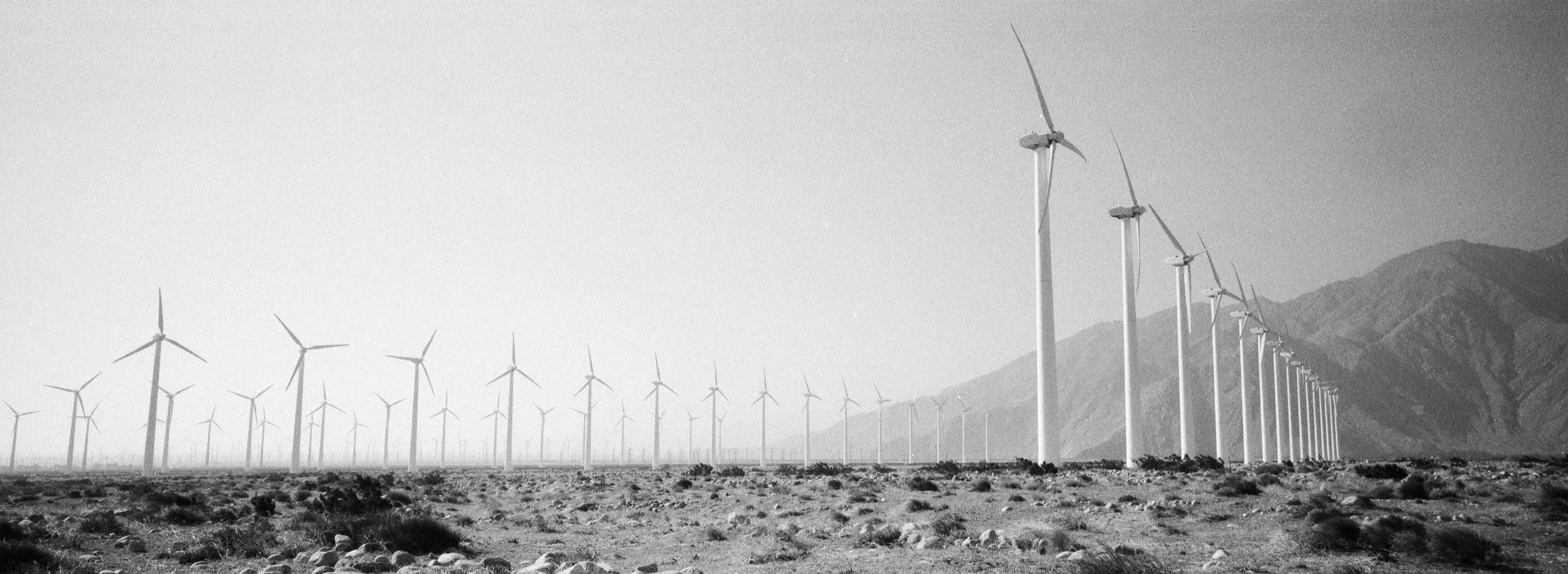Coachella_2006_111.jpg