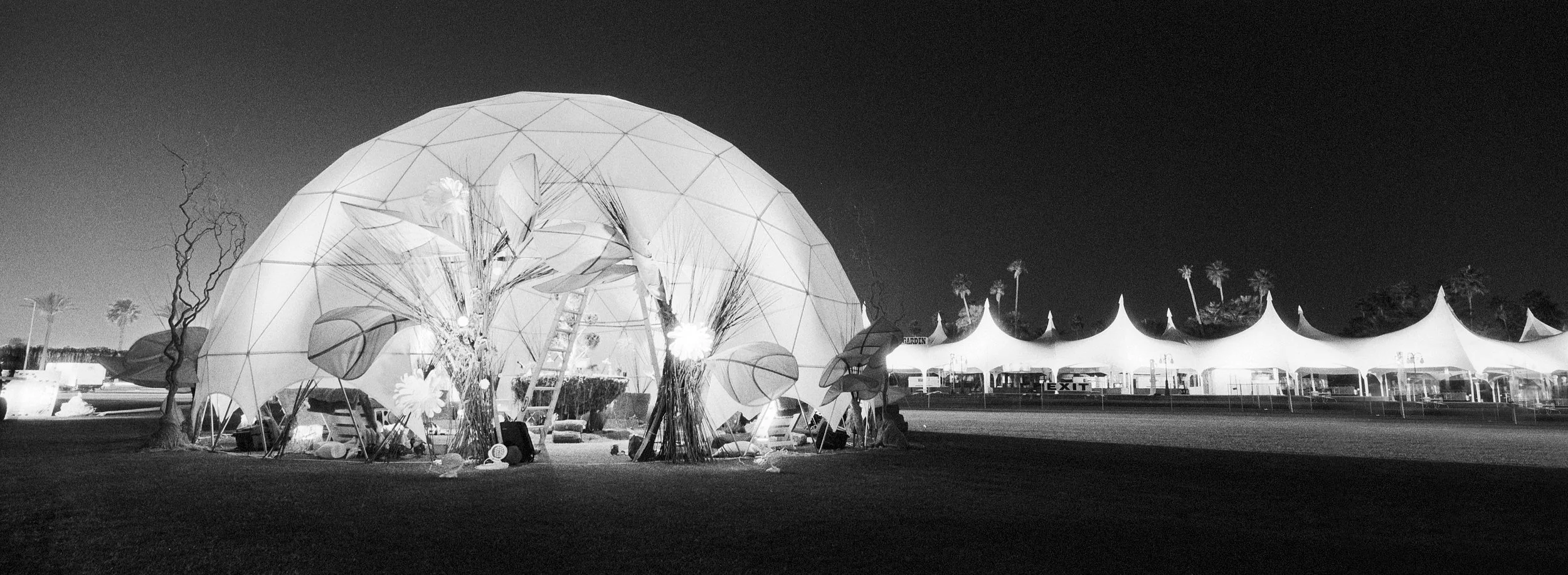 Coachella_2006_102.jpg