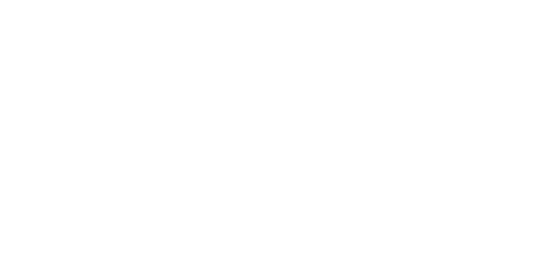NCVO project — Bright Blue Intelligence