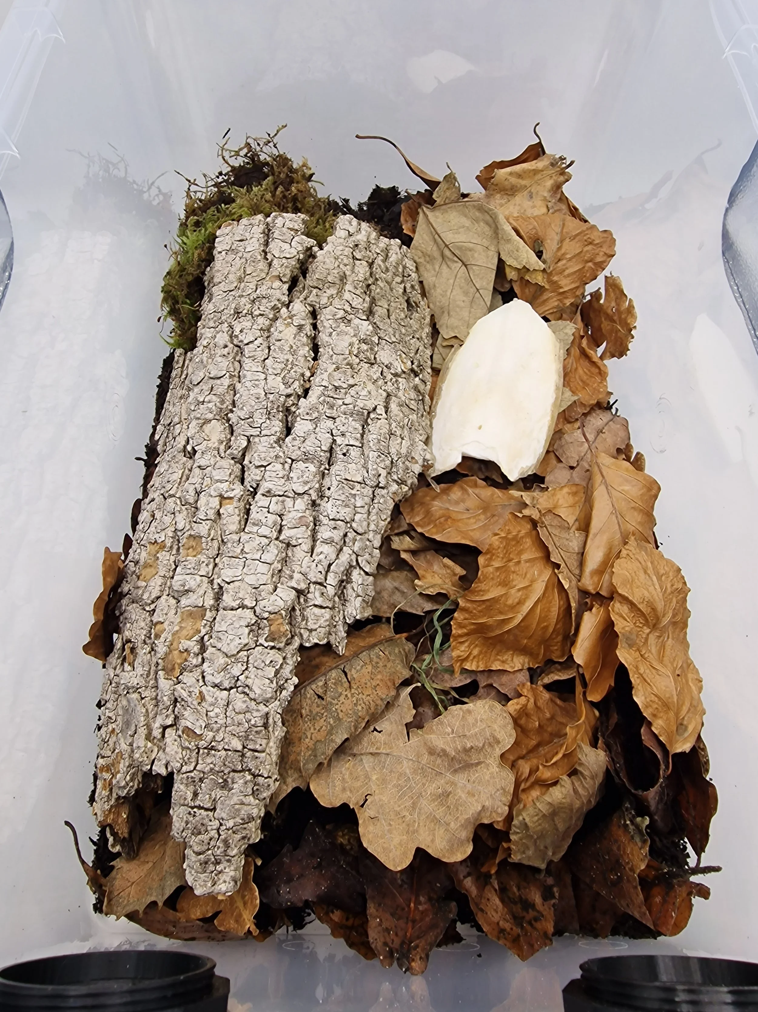 11L Wham Isopod Full Setup