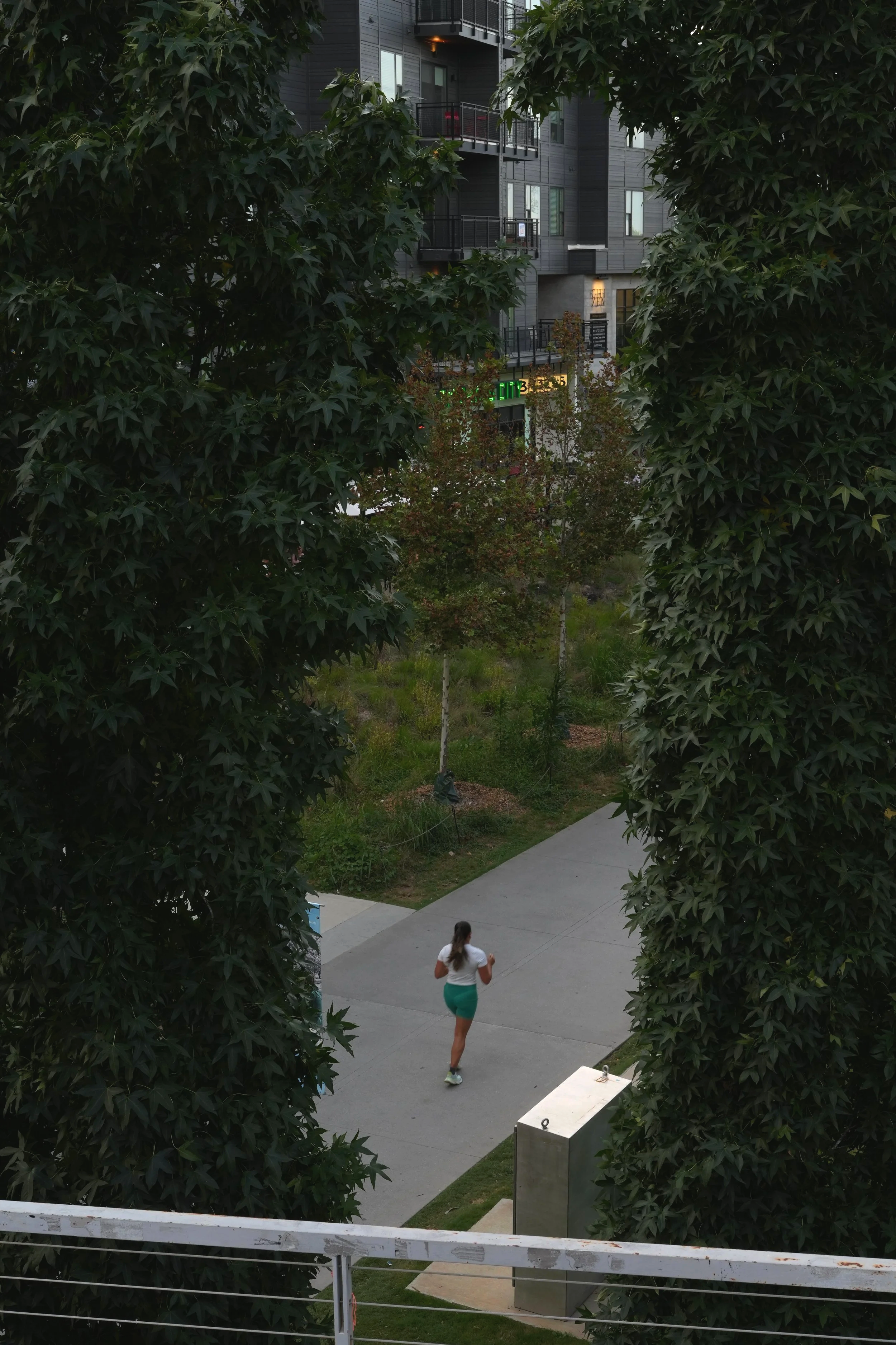 DSC00592.png