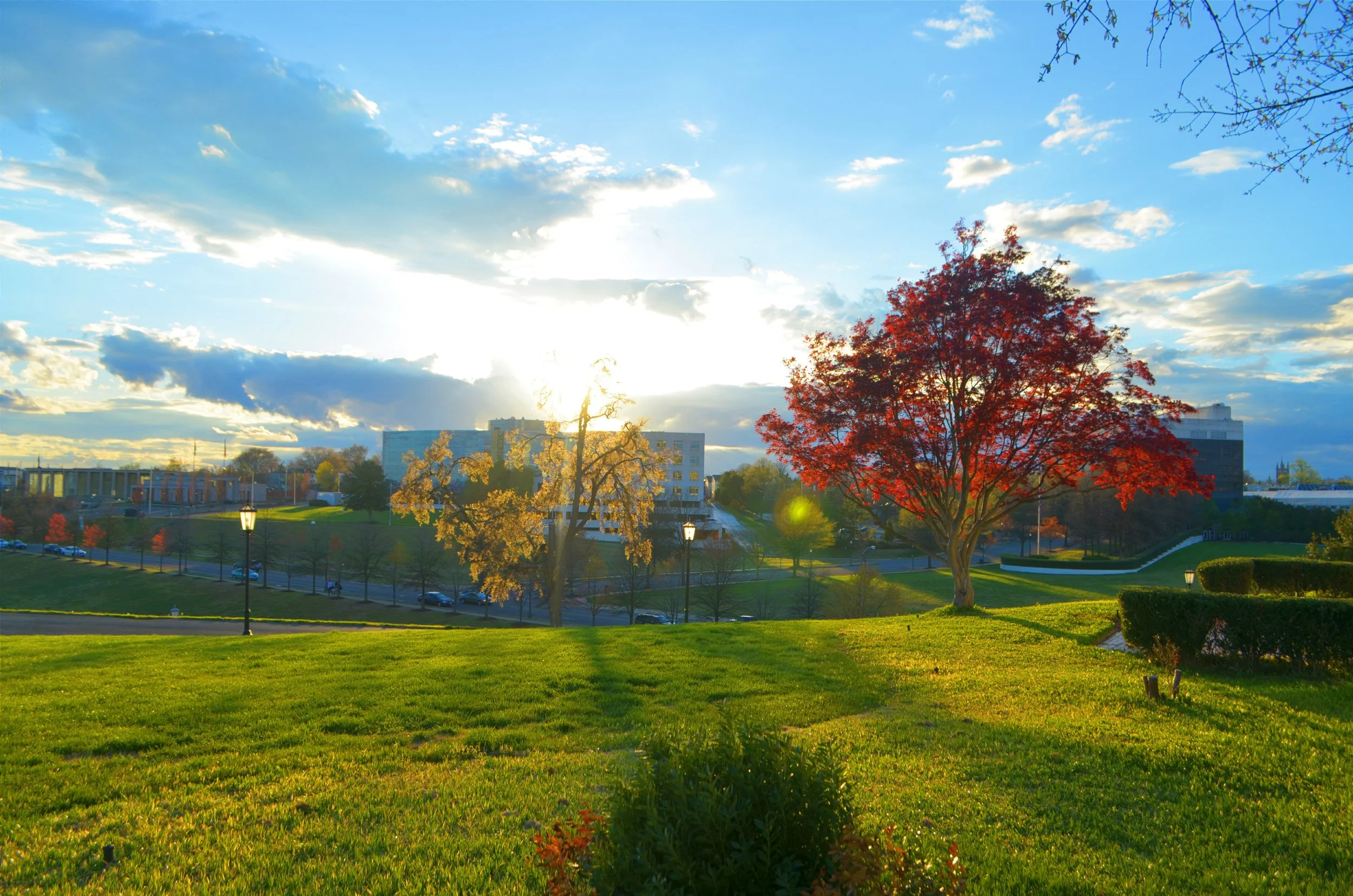 2017-03-28 07.45.24 1.jpg