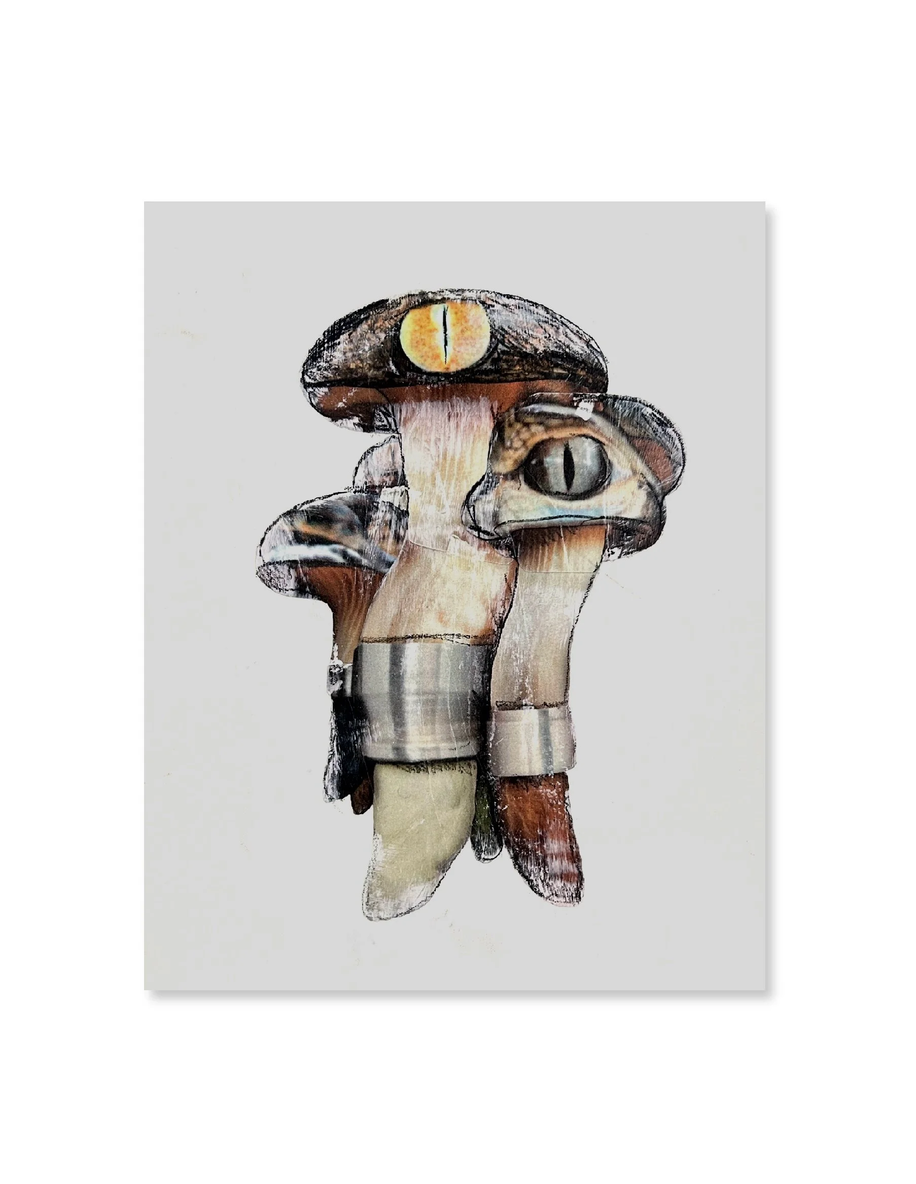 Crocodile-Shroom.jpg