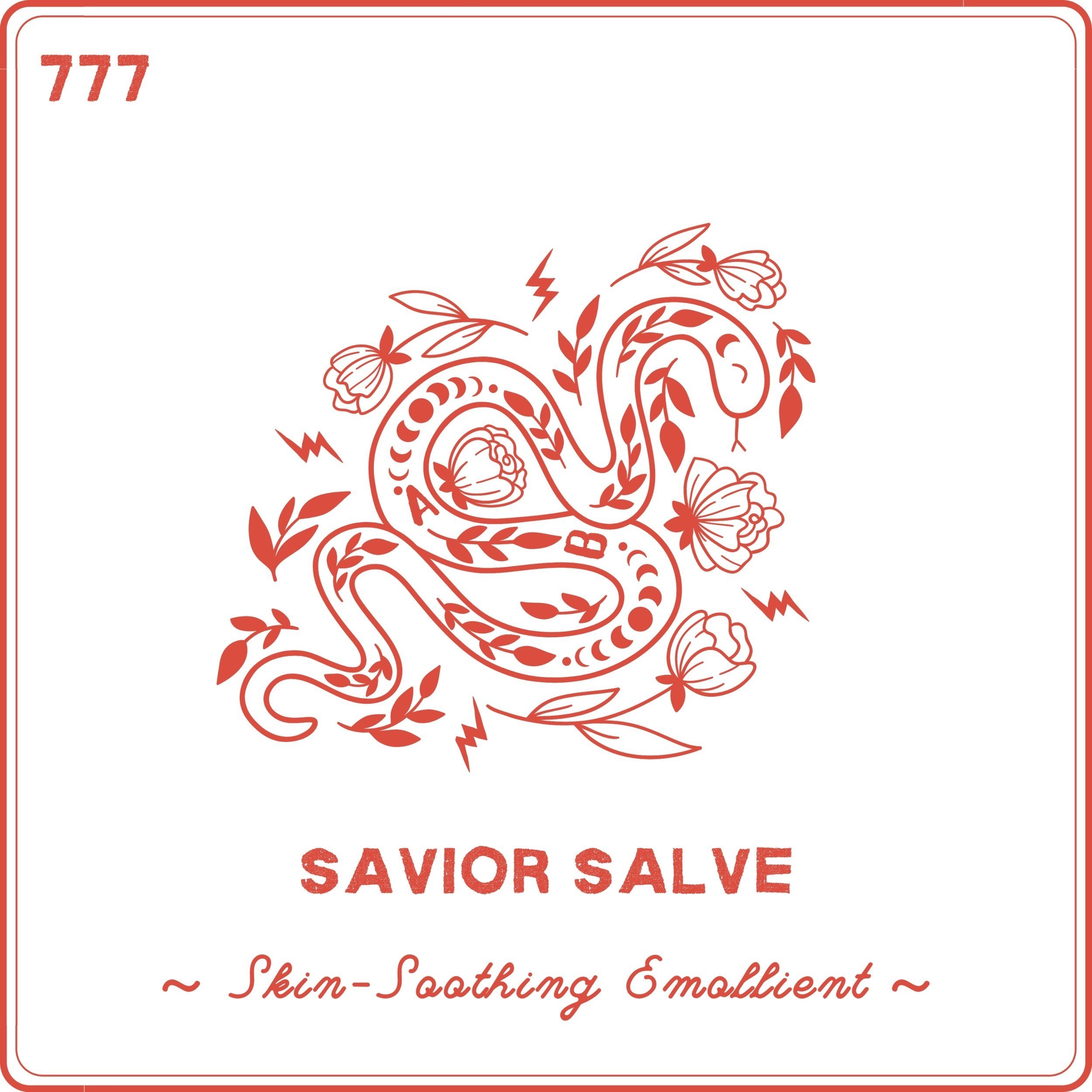 Website%2BArt_Savior%2BSalve.jpg