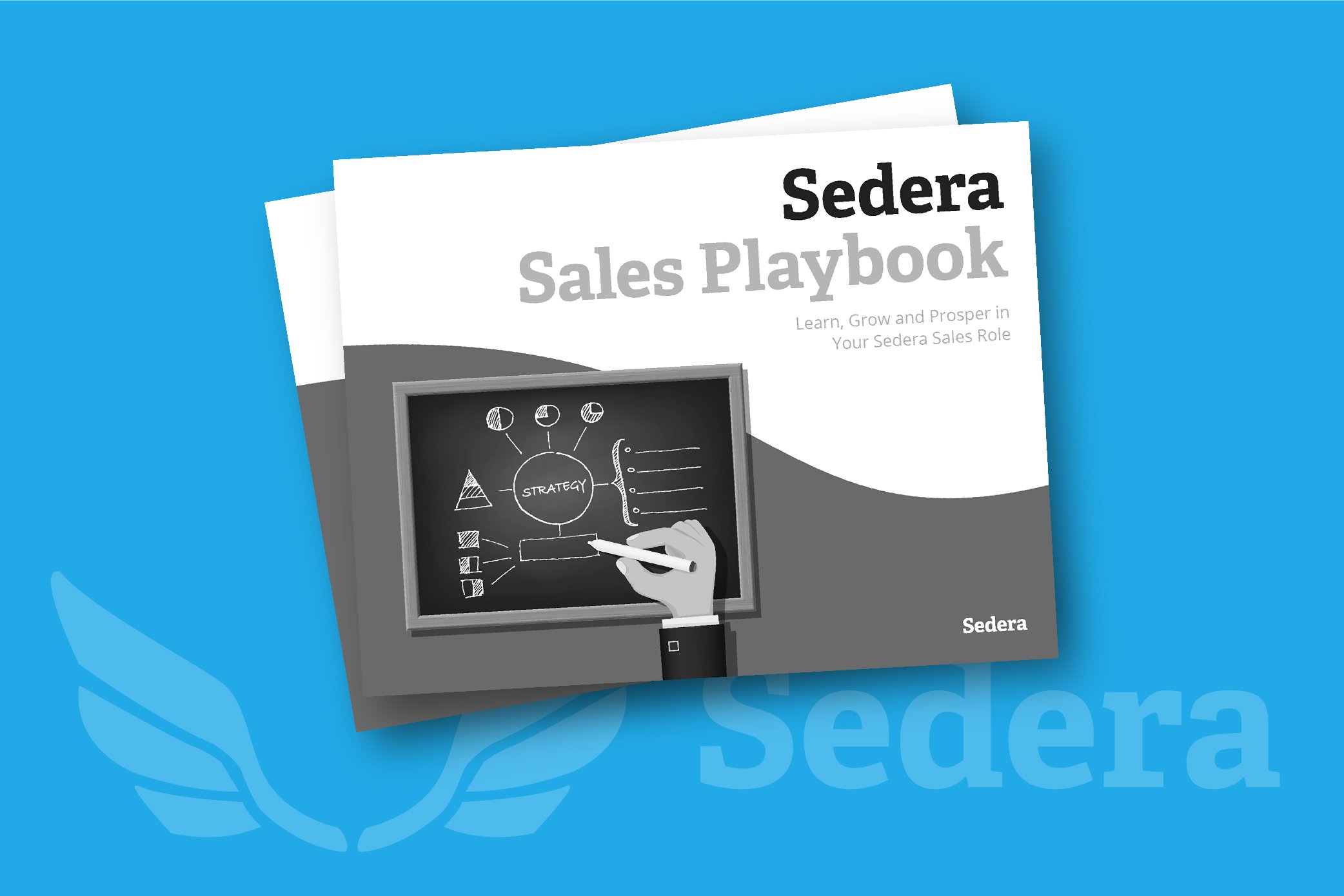Sedera Sales Playbook