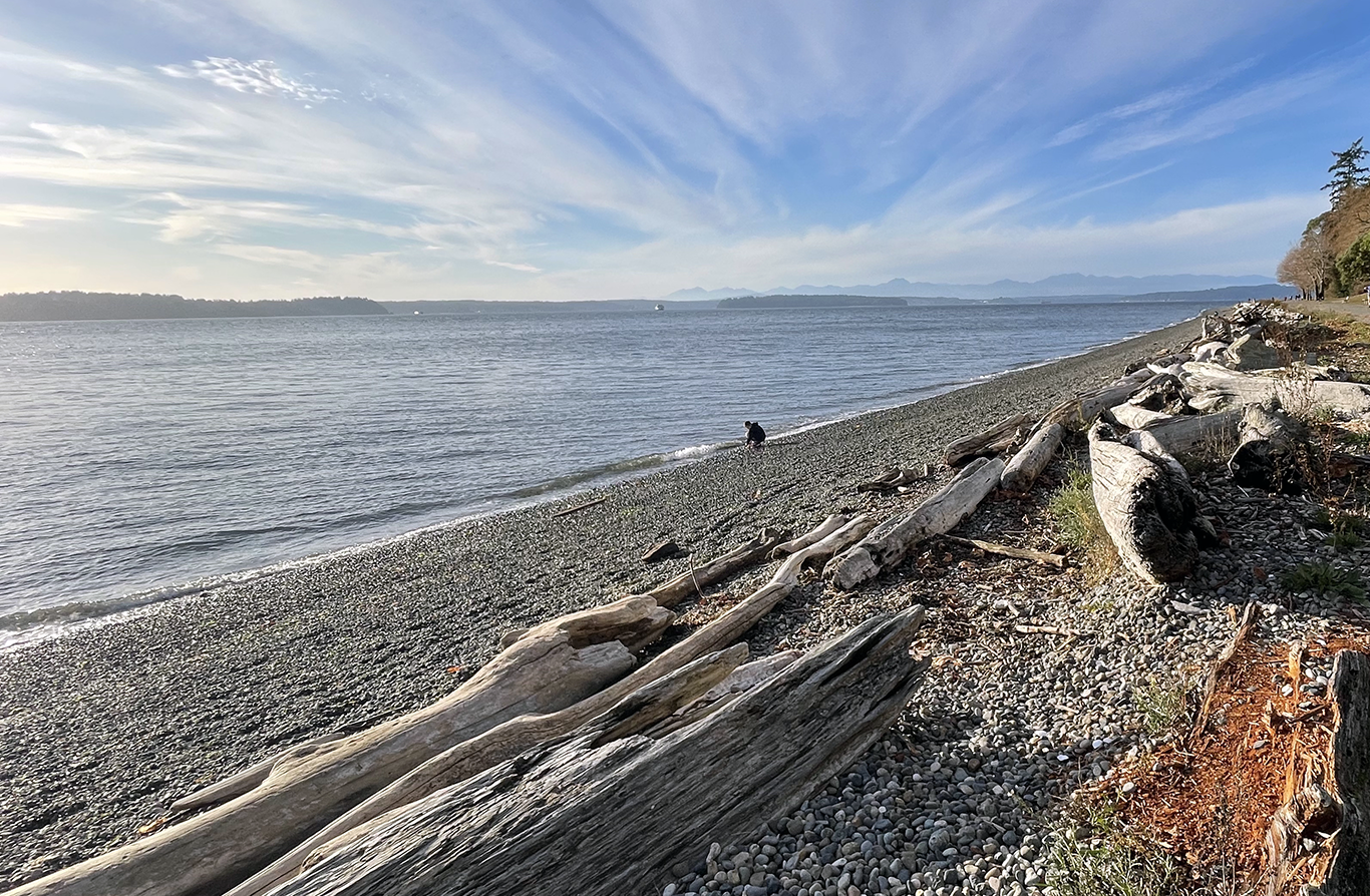 Part 1: Excavating My Inheritance