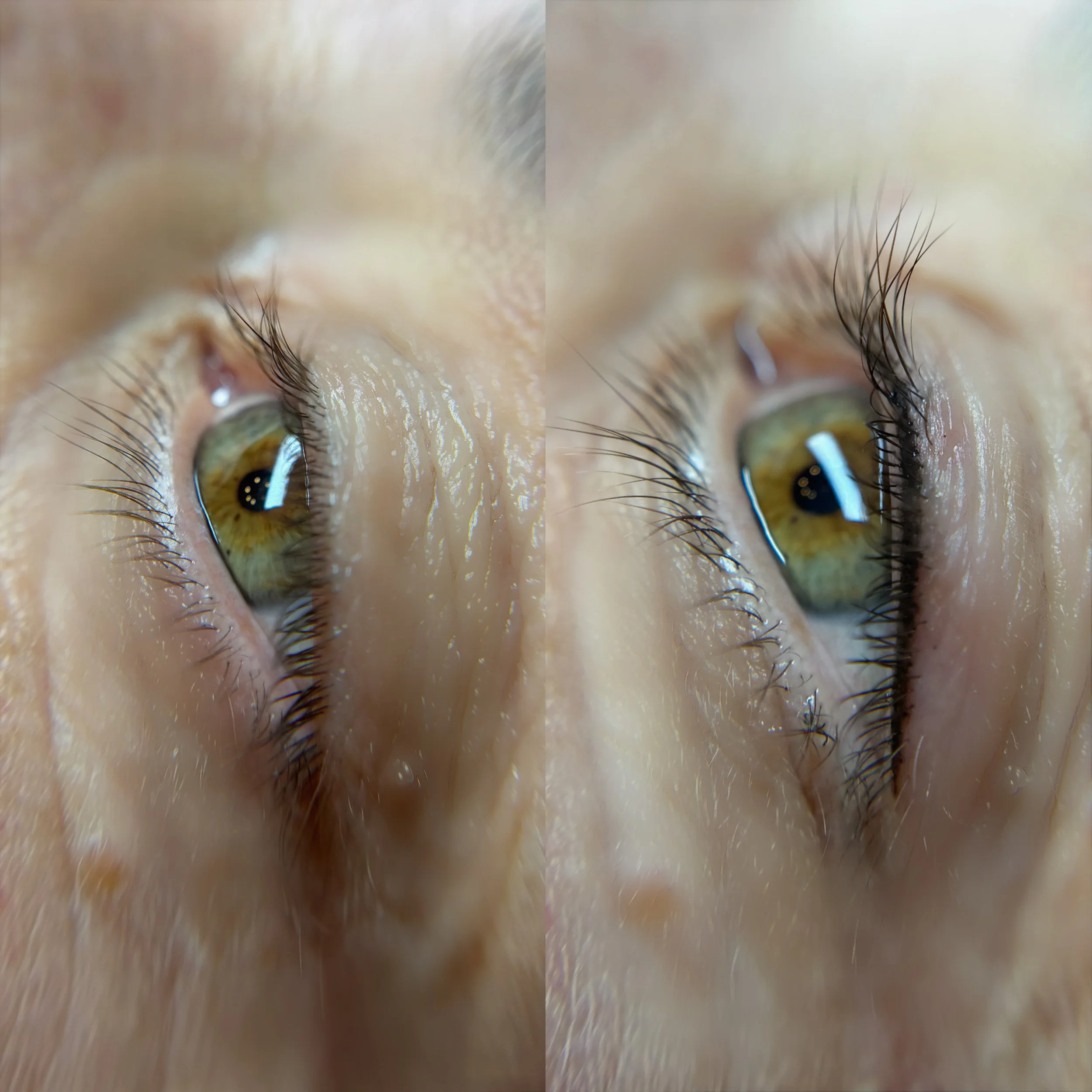 Permanent Top Eyeliner