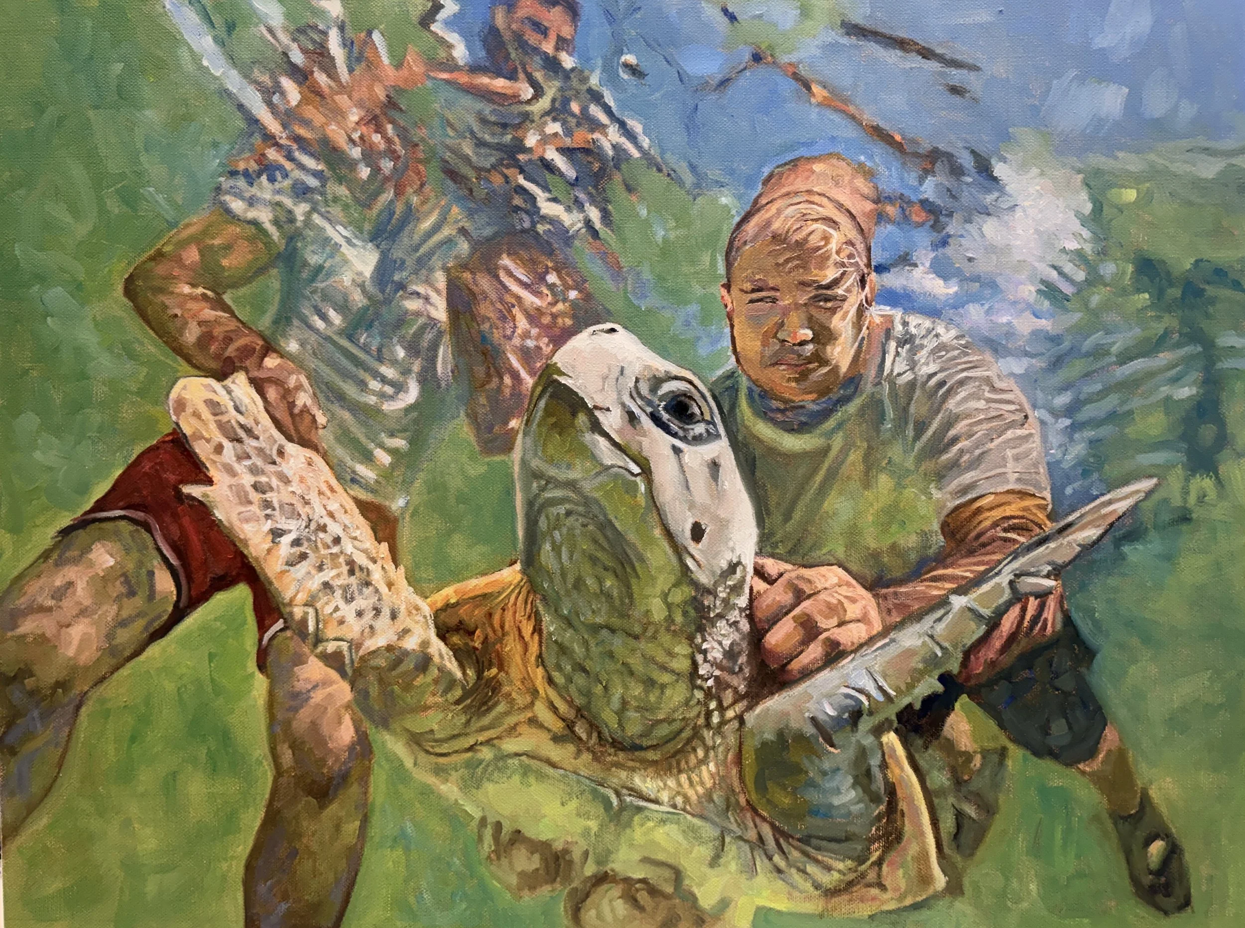 Green sea Turtle.jpg