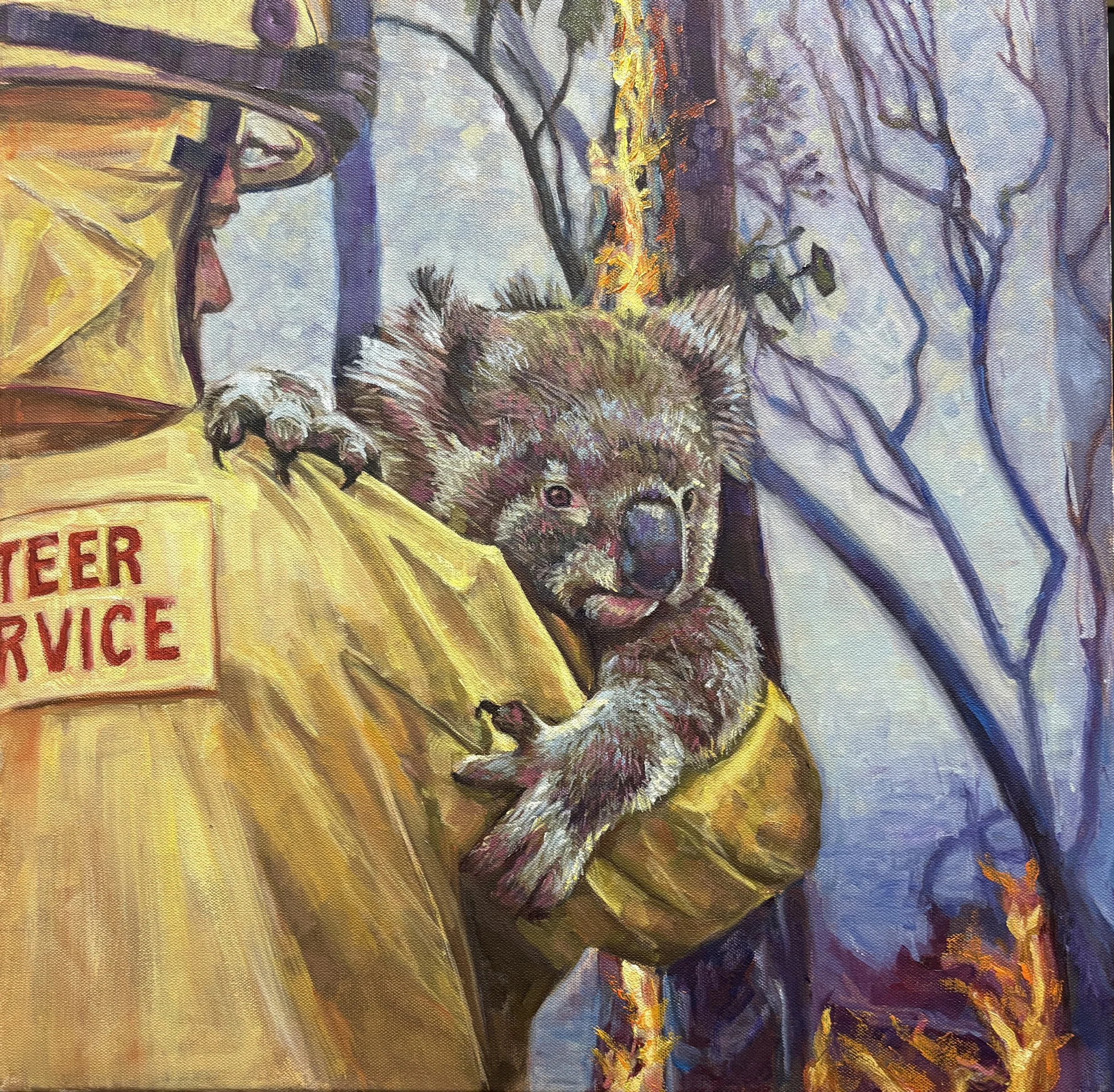 Koala bear rescued from Australian bush fire