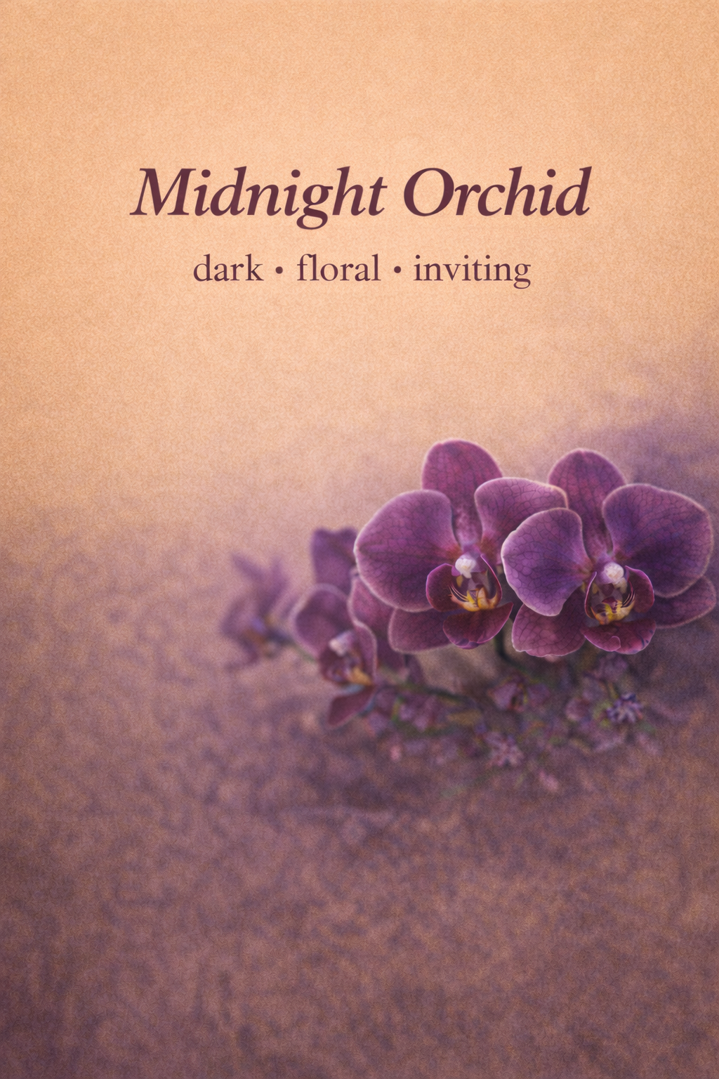 Midnight Orchid