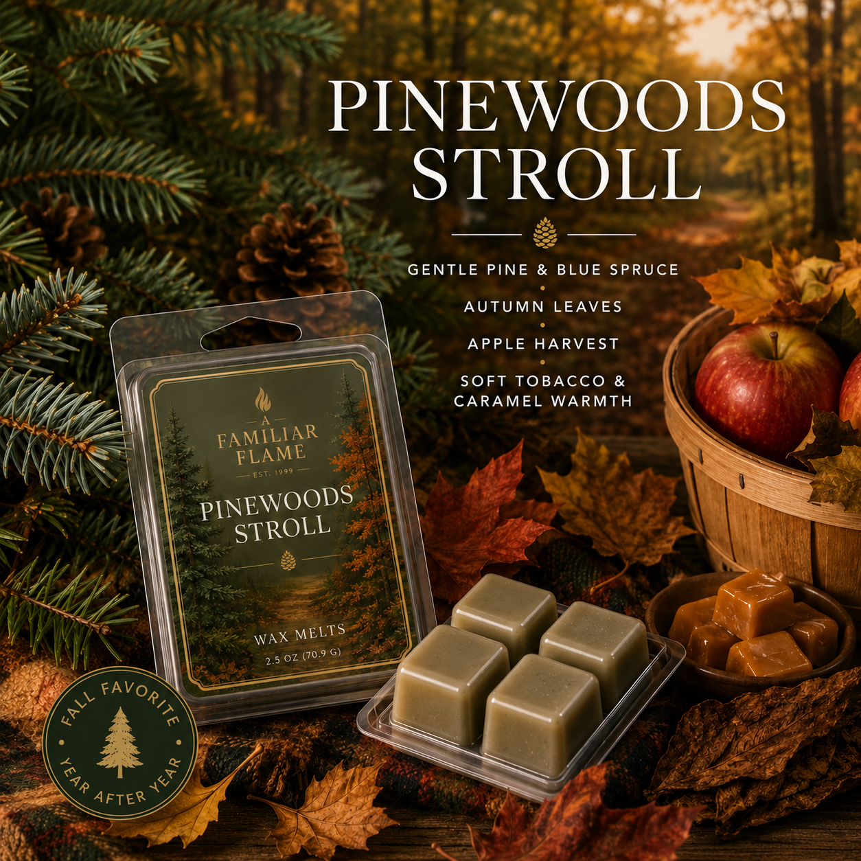 Pine Woods Stroll