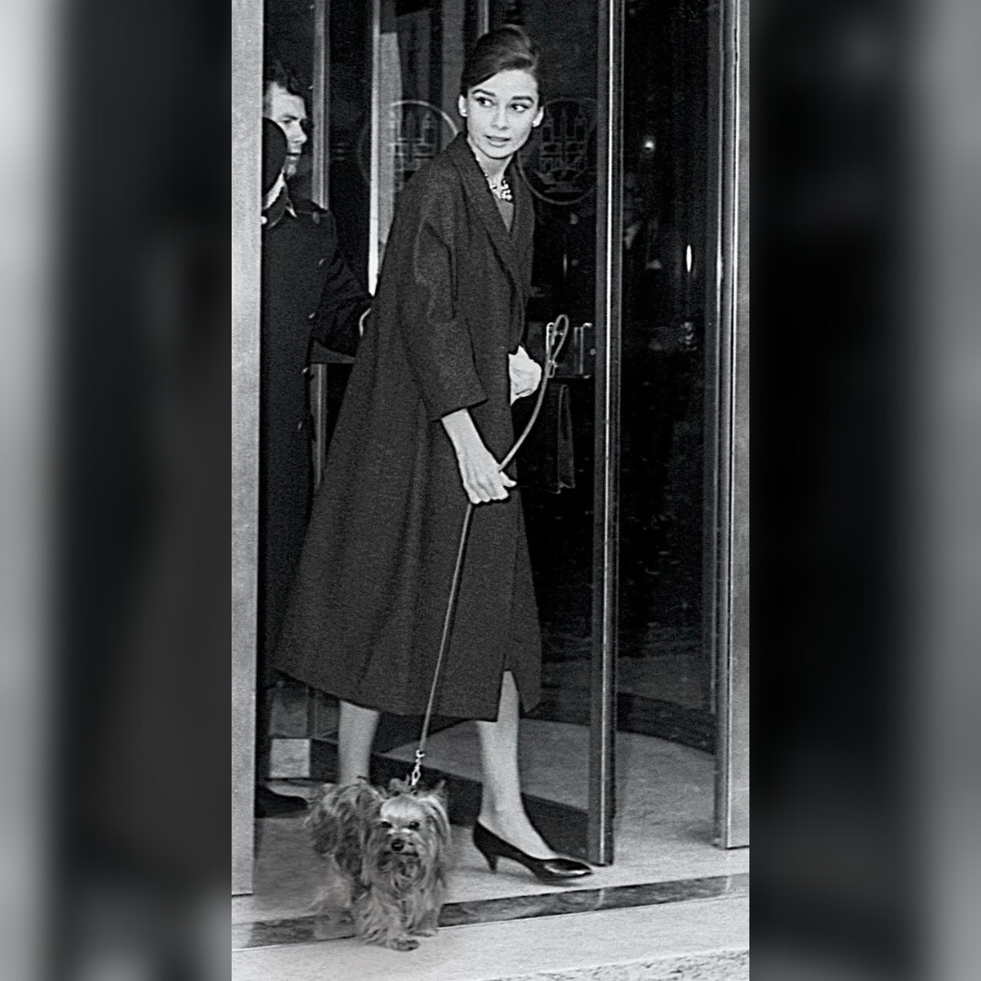 50s Capri pants and short blouse set SO Audrey Hepburn by hakther. $85.00  USD, via Etsy. | Short blouses, Clothes, Pretty outfits