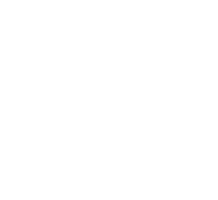 Safeguard Insurance logo-WHITE.png