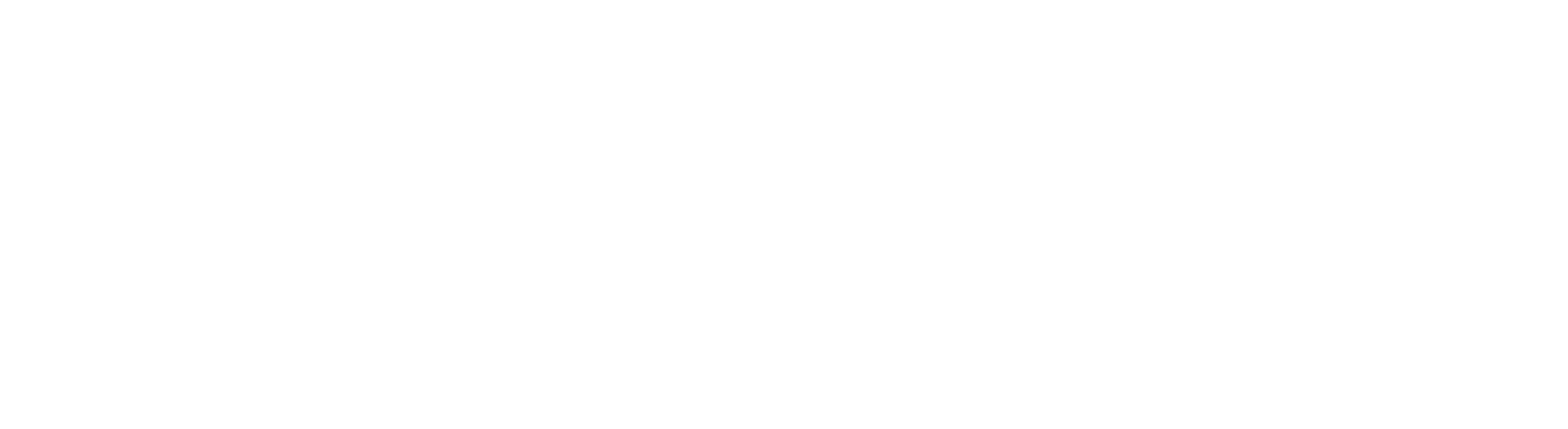 NS_Rotary_logo-WHITE.png
