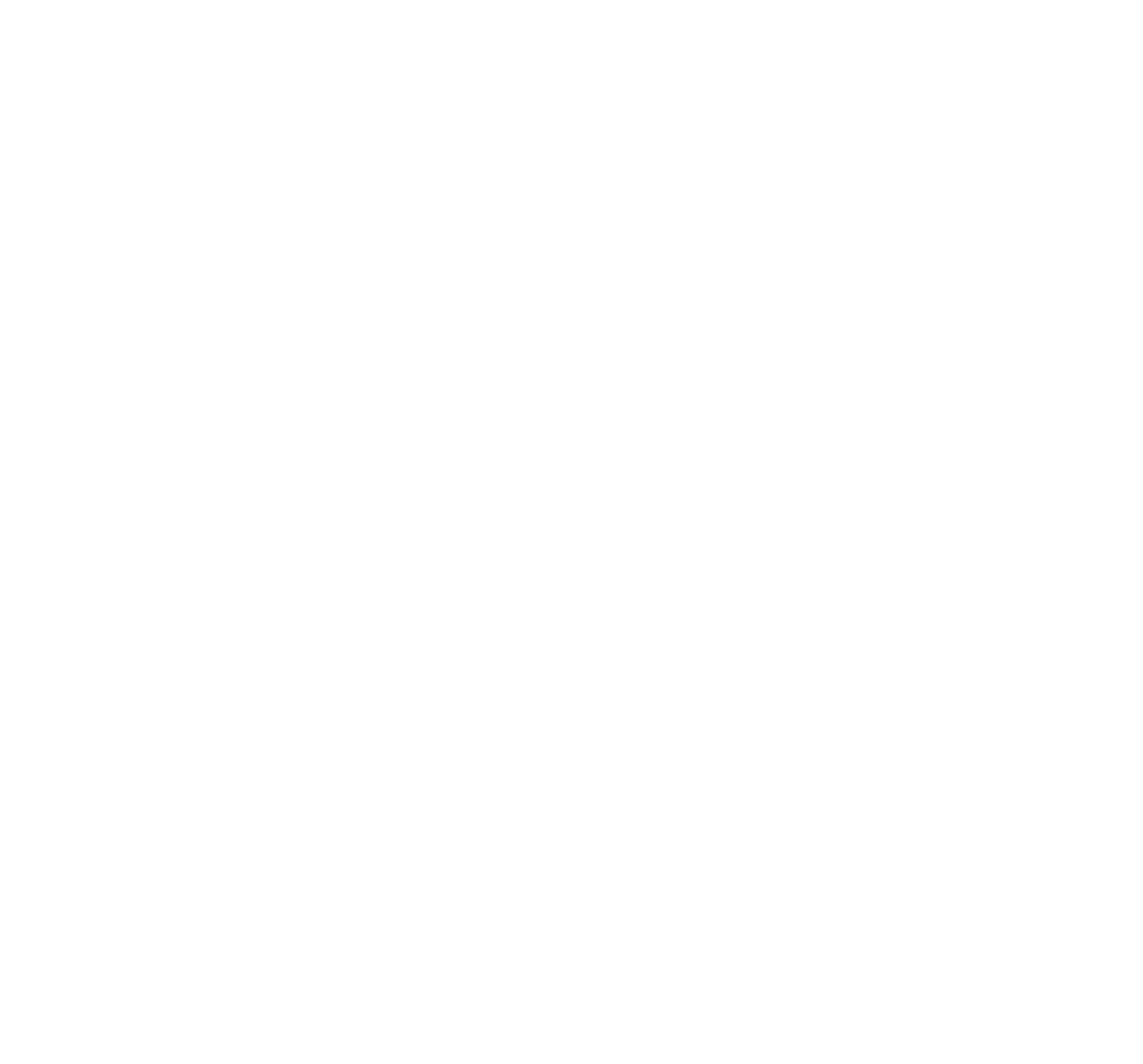 AG large logo-WHITE.png