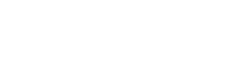 PB Mares logo WHITE.png