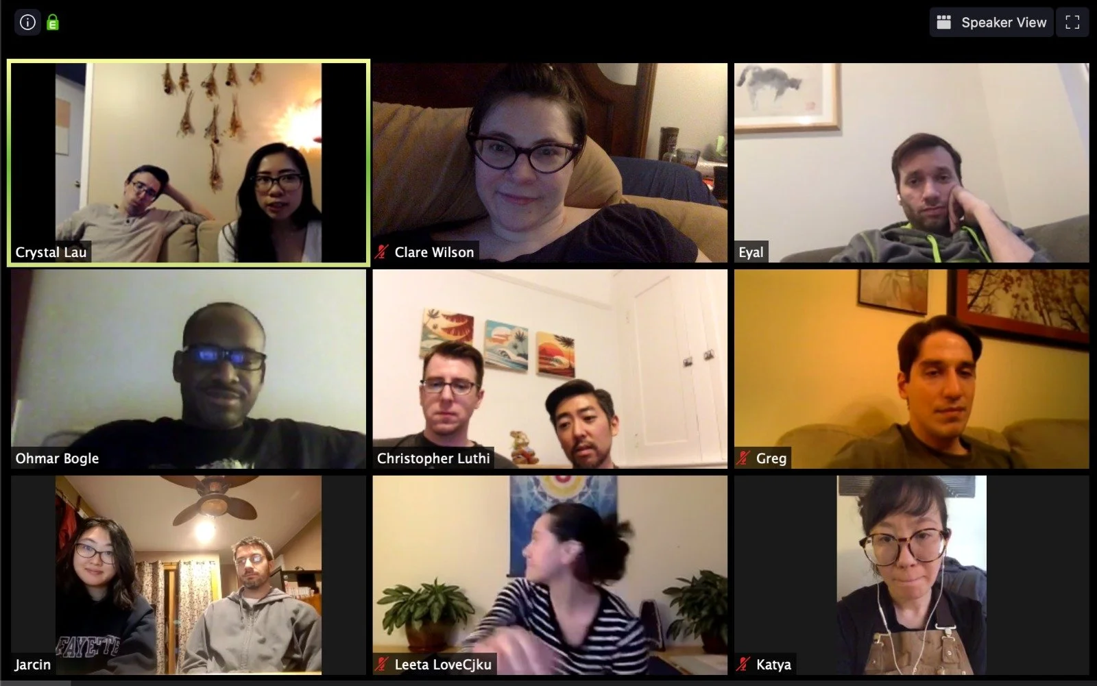 A virtual meeting with nine participants in individual video frames, most sitting indoors with various backgrounds including decorated walls, paintings, plants, and home furniture.