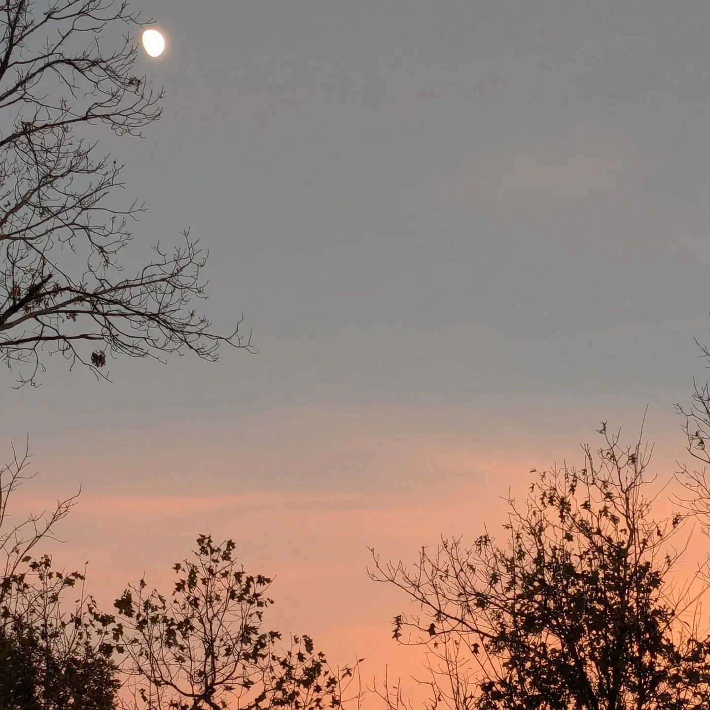 Love is looking at the sky and watching it be different every single day. We are like the sky. We think we should be the same daily or the same as others but we are changing and growing and as unique as a sunset every day. Just let yourself be and lo