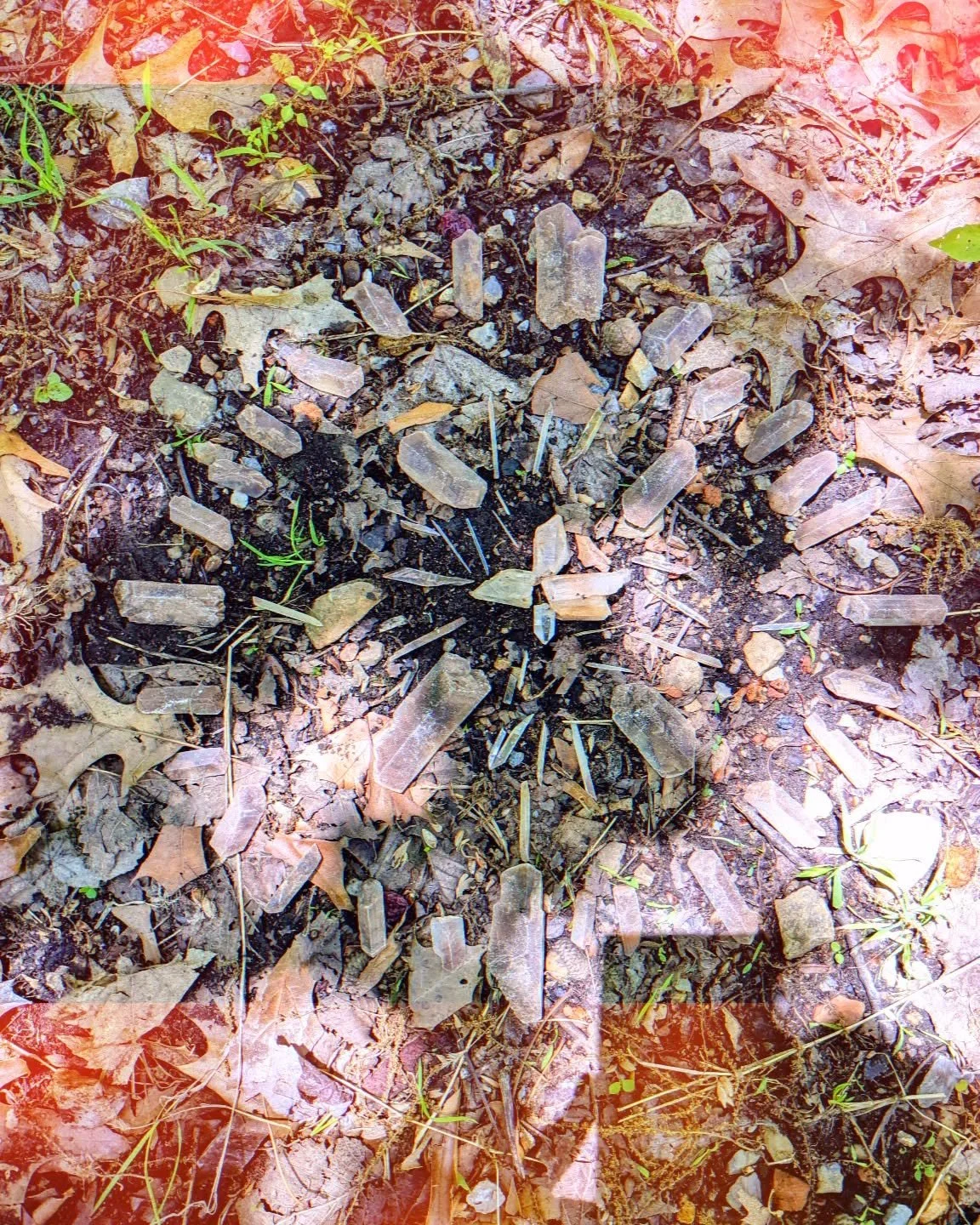 My dear friend gave me a giant bag of quartz crystals she gathered in Arkansas. It didn't feel right to have so many so I created a beautiful grid on the land. Giving them back to the earth felt right. How do you like to support our great mother?