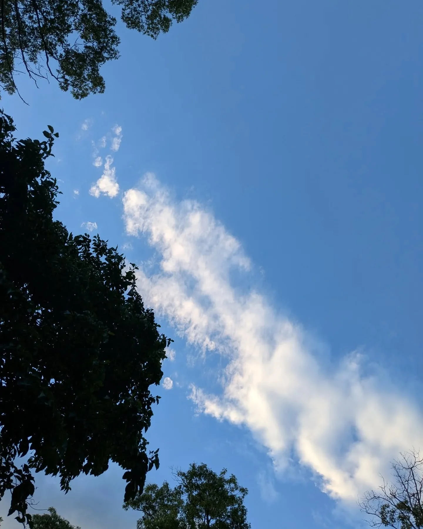 The beauty is all around us. Where are you finding it today?