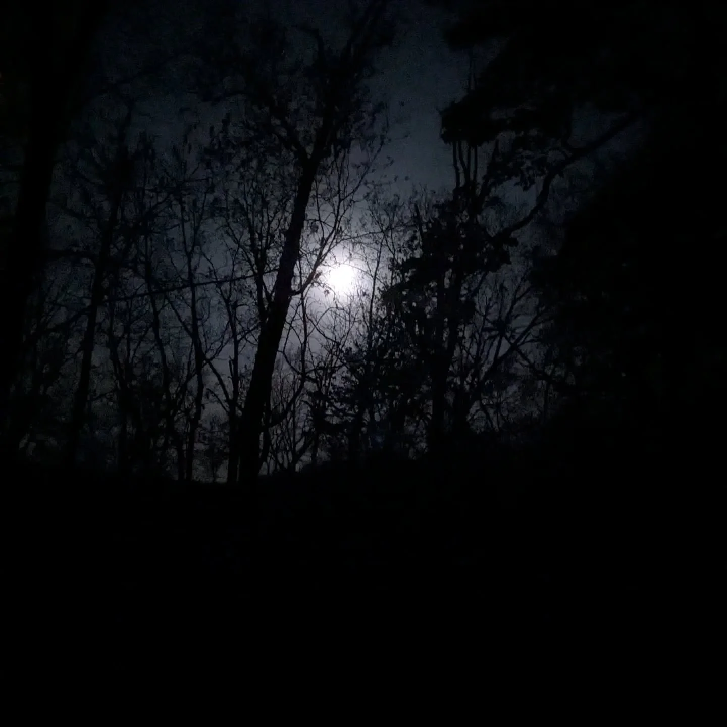 This moons got a lot to say...