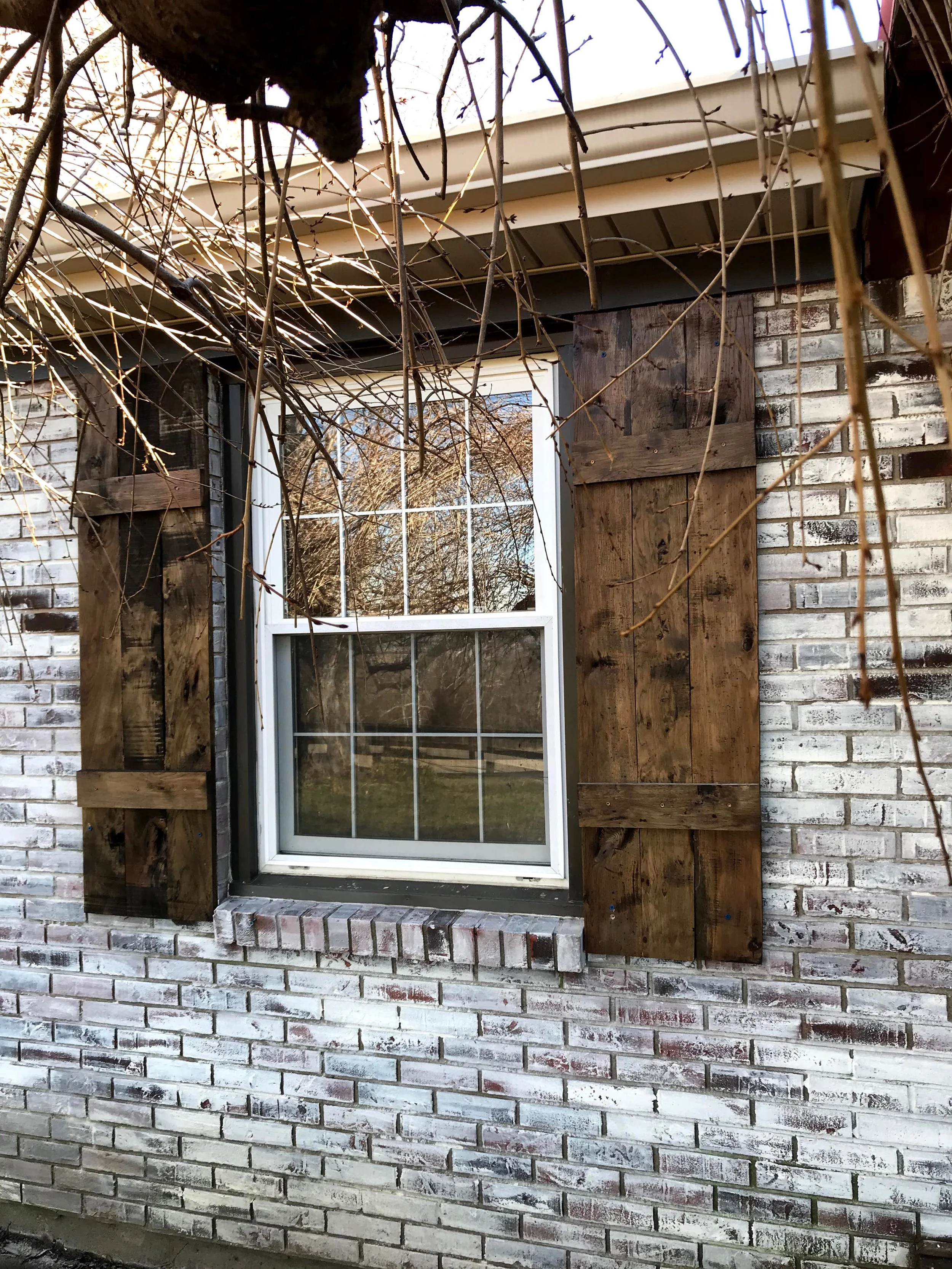 IMG_2479_Original 2.jpg